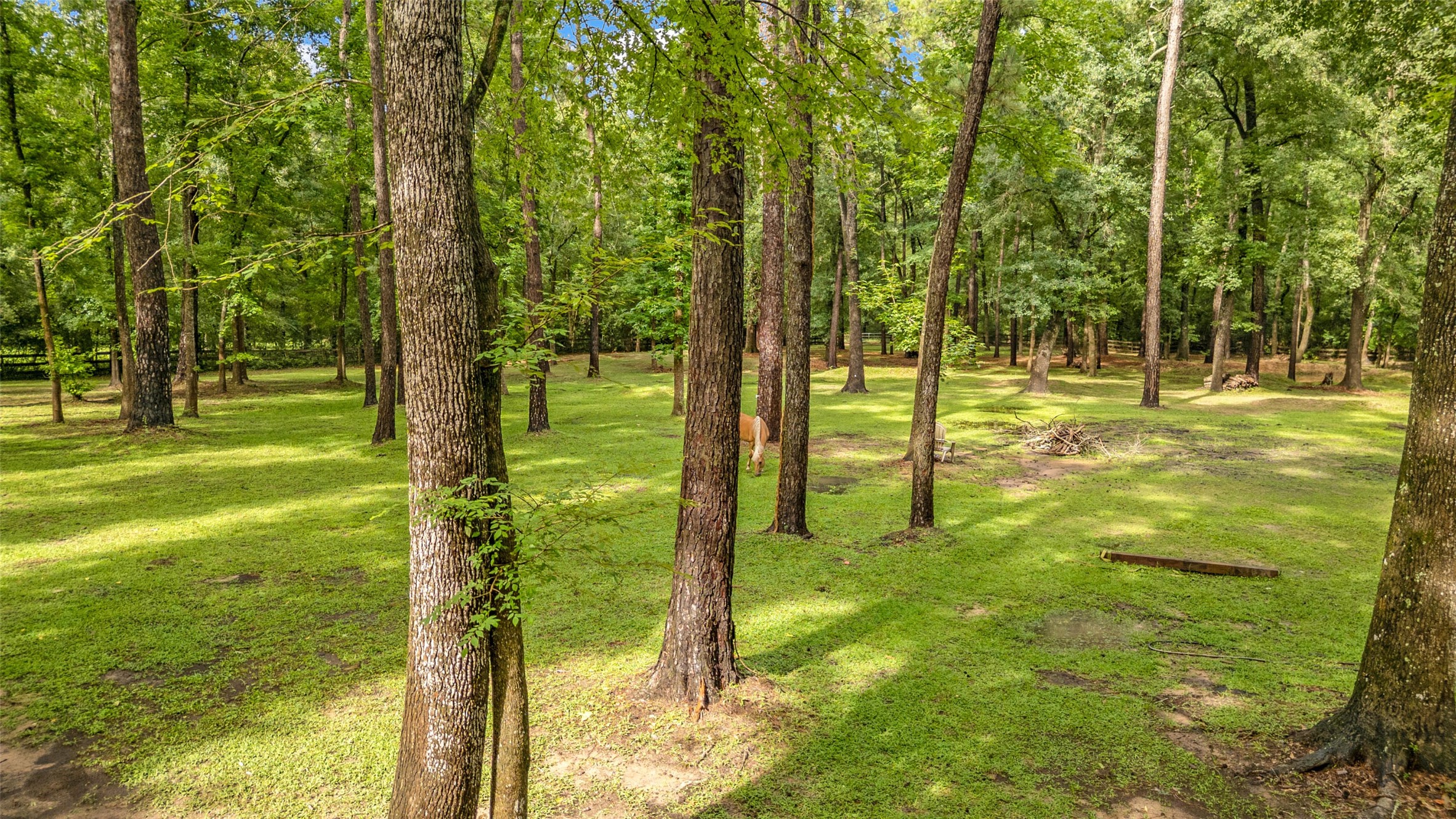 17203 Gold Panning Court, Magnolia, TX 77355