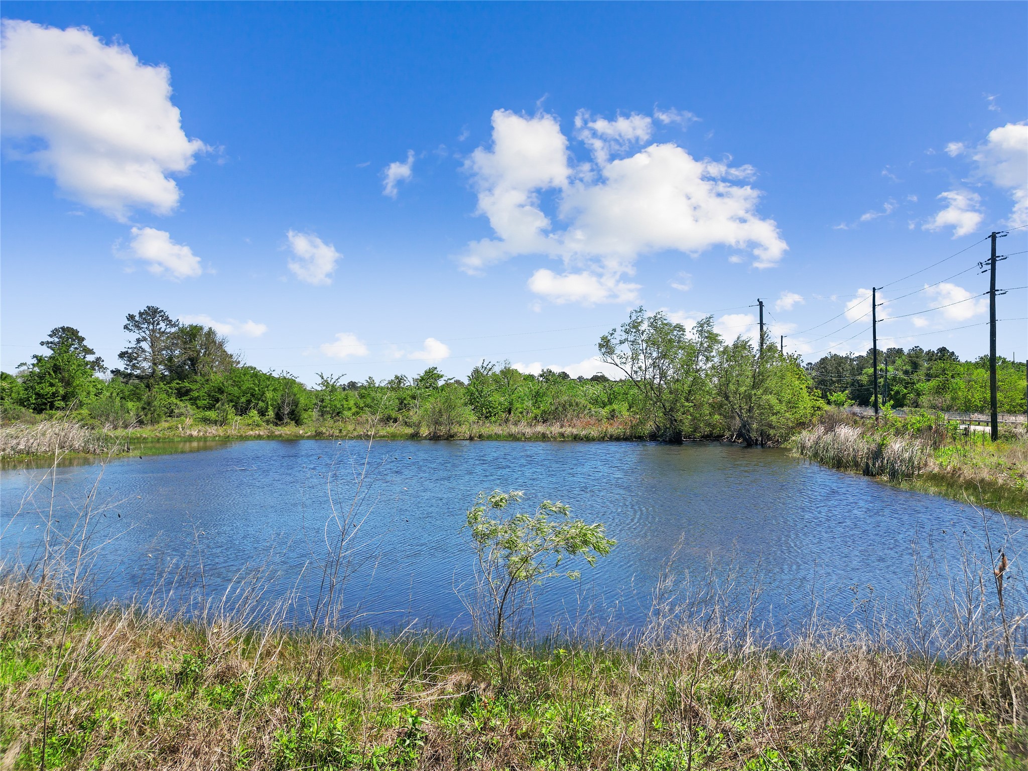 11242 Longstreet Road, Willis, TX 77318