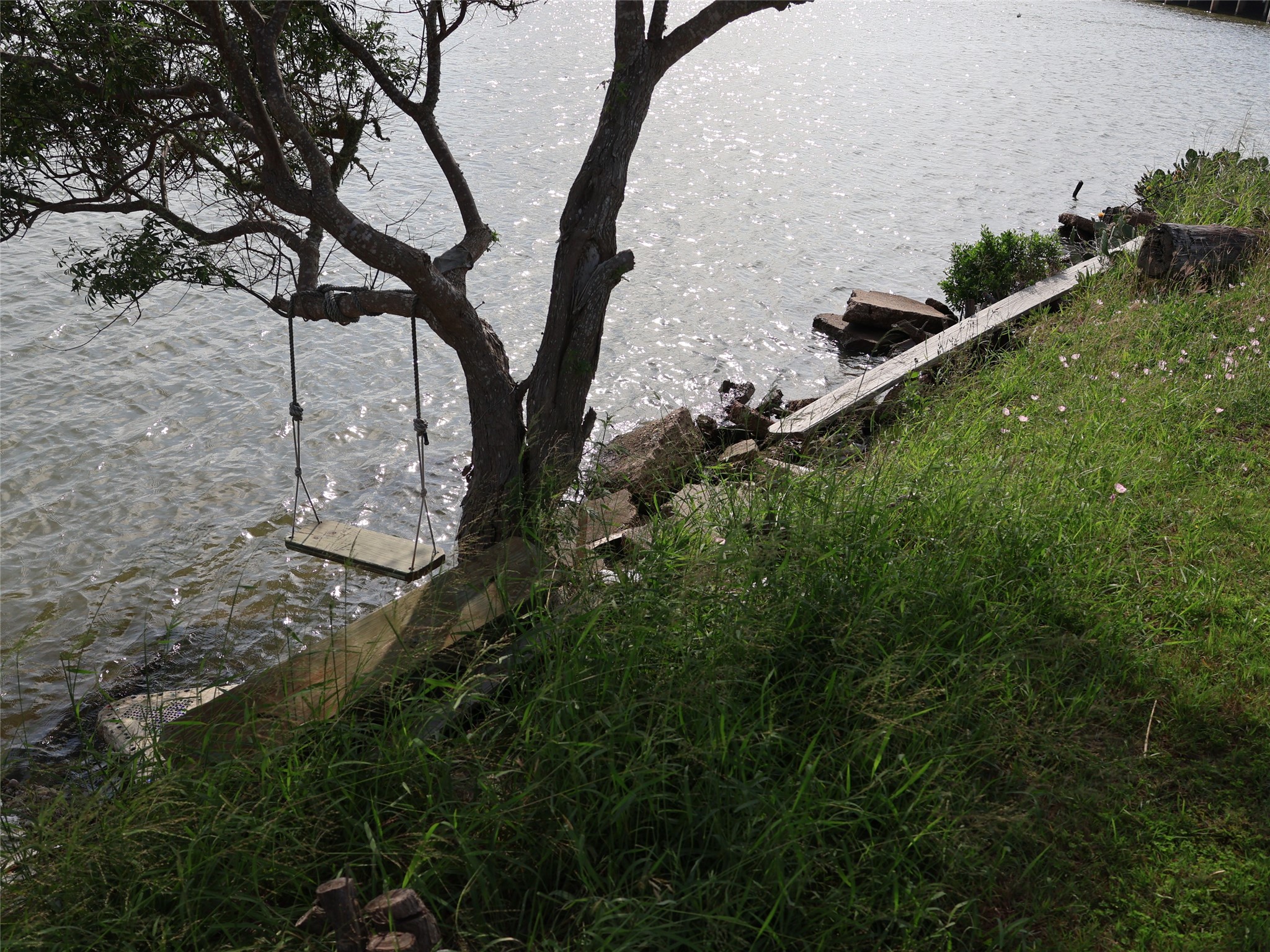 This serene waterfront spot features a rustic swing hanging from a tree, overlooking a calm body of water, perfect for relaxation. Lush green grass surrounds the area, creating a peaceful natural setting.