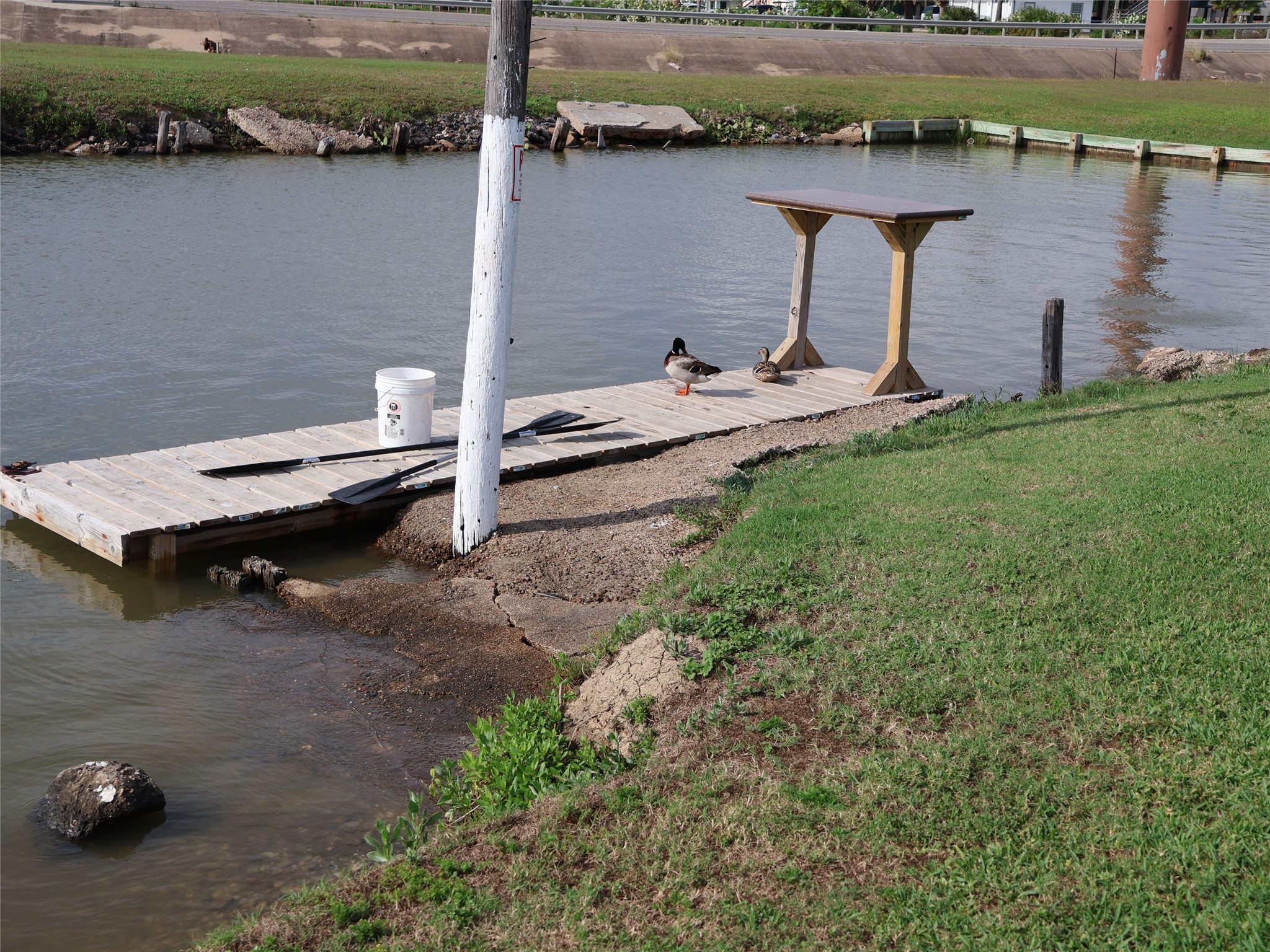 Small dock with the local ducks. Small dock with the local ducks.