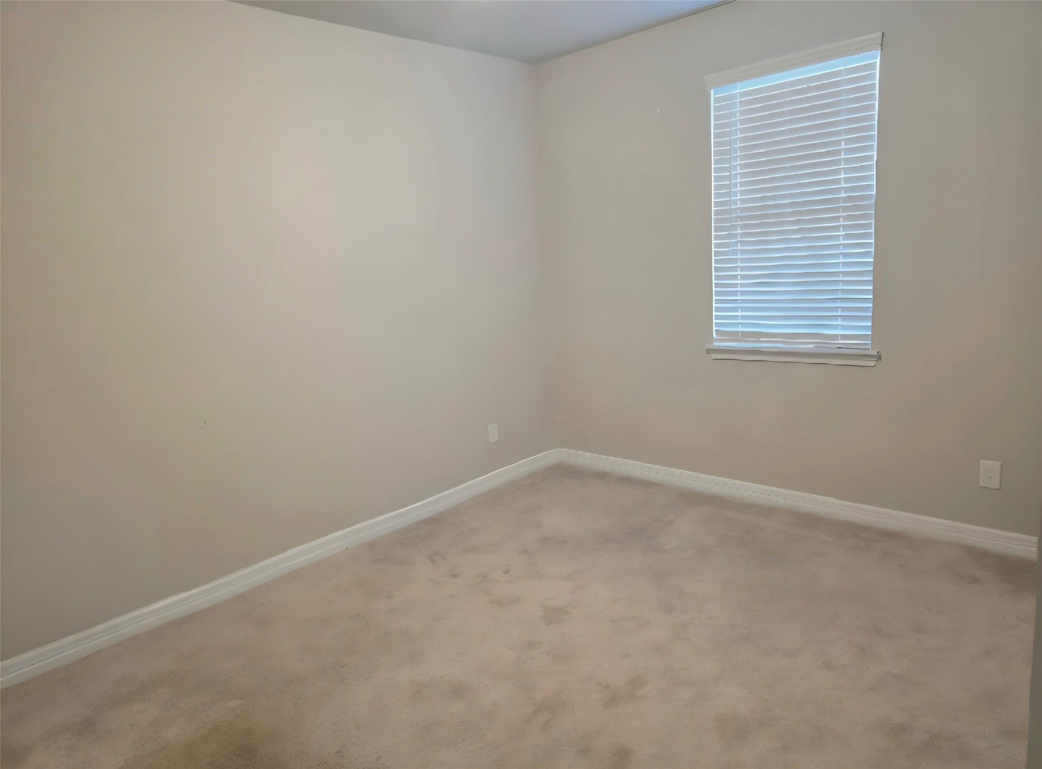 17119 Bainham Forest Trail, Hockley, TX 77447