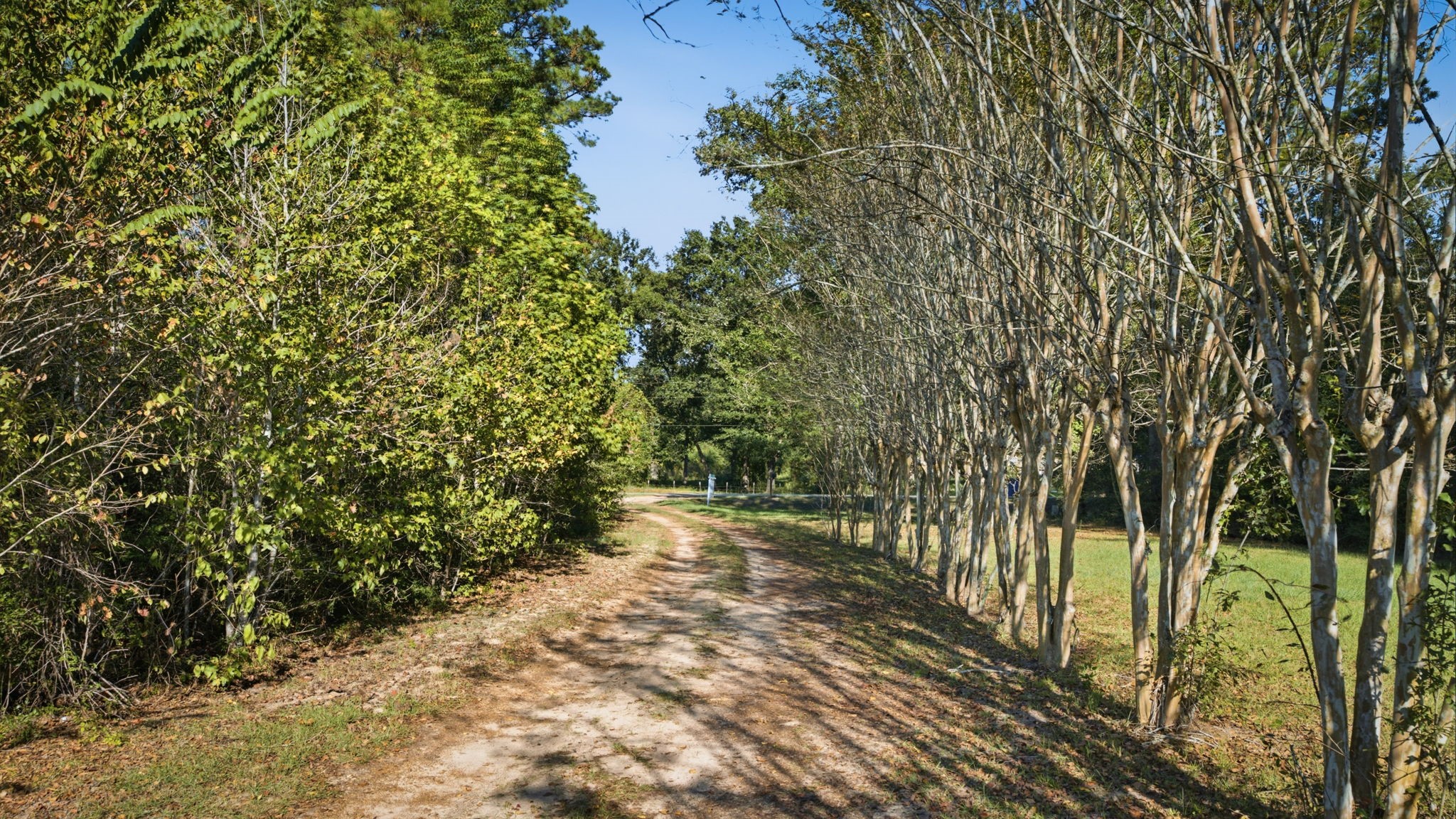 7497 Hidden Acres Drive, Cleveland, TX 77328 7497 Hidden Acres Drive, Cleveland, TX 77328