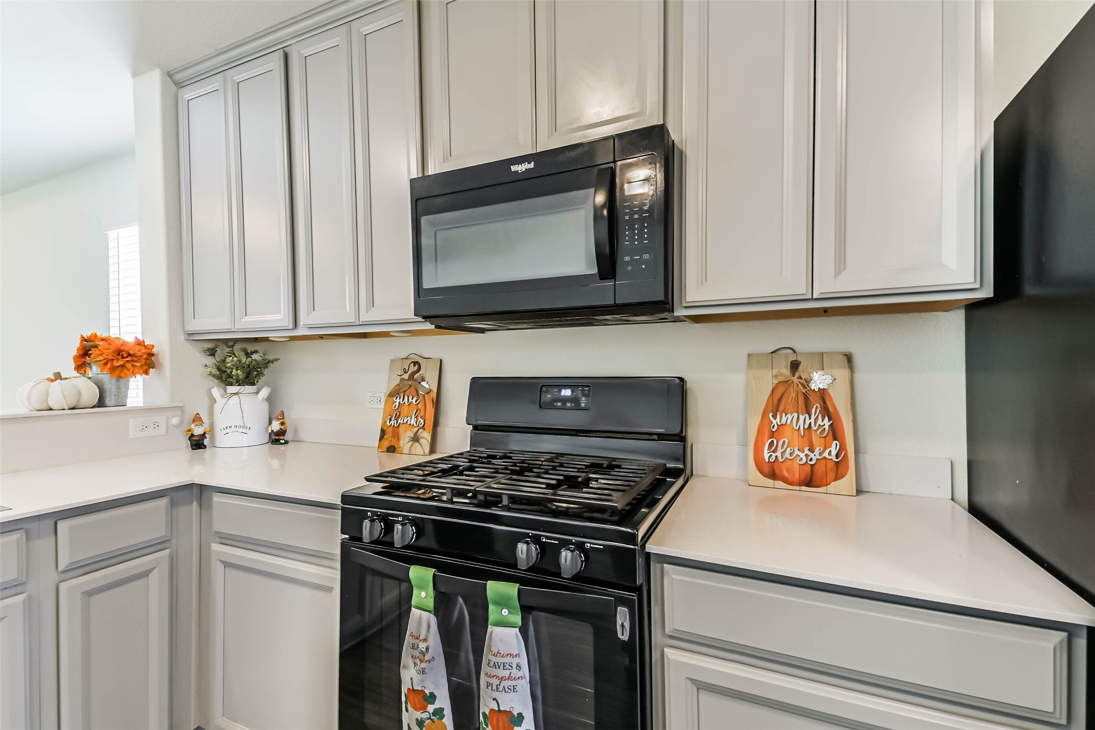 Gas Stove