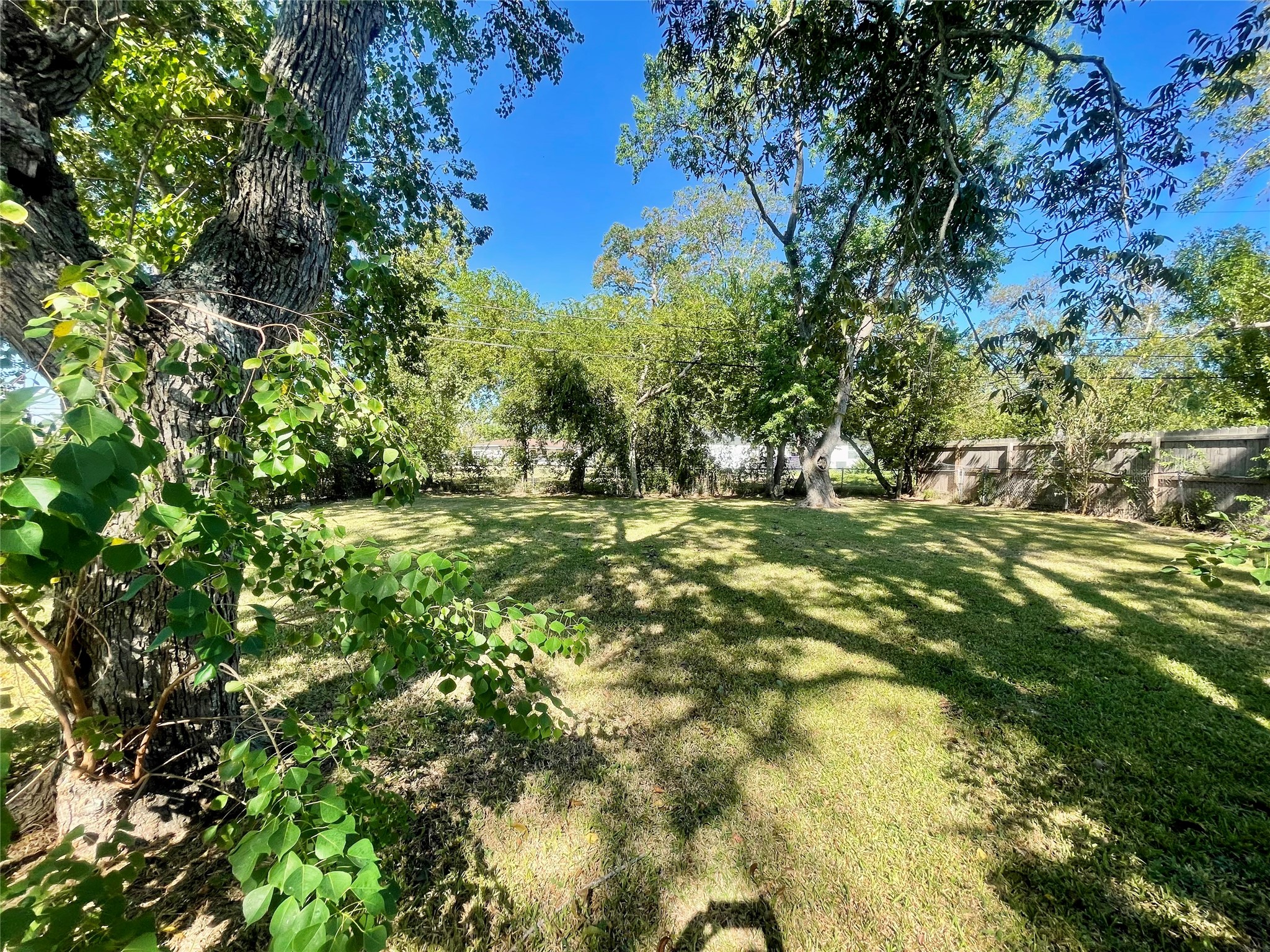 1206 W 11th Street, Freeport, TX 77541