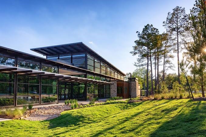 148 Sea Foam Court, Willis, TX 77318