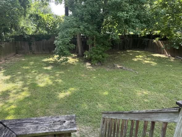 15203 Paradise Cove Drive, Willis, TX 77318