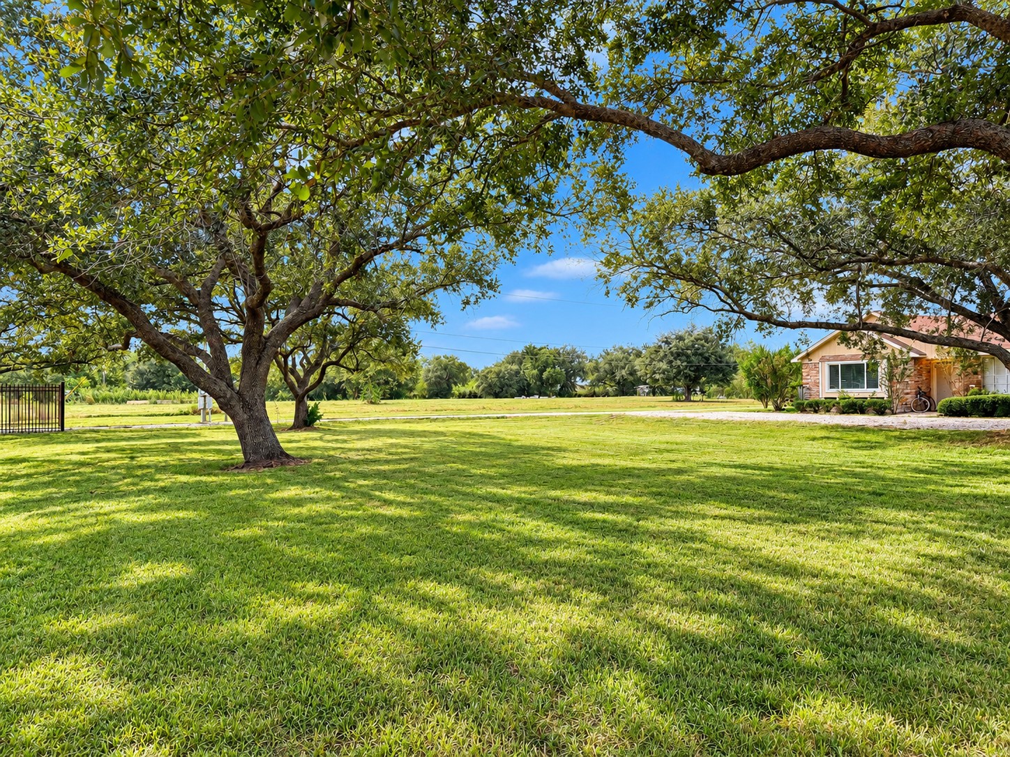 Spacious side yard
