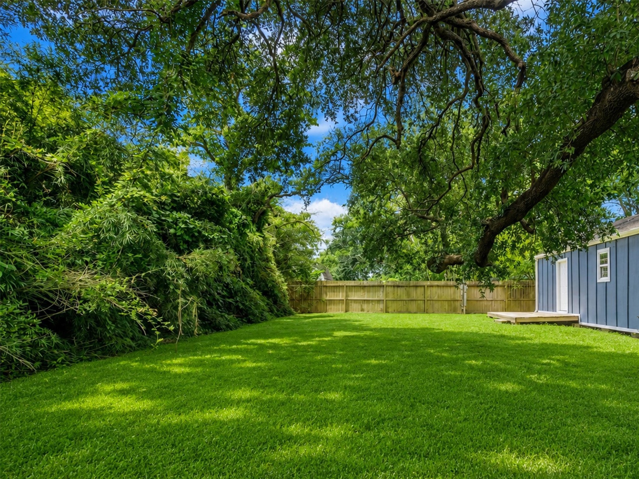 Fenced backyard.