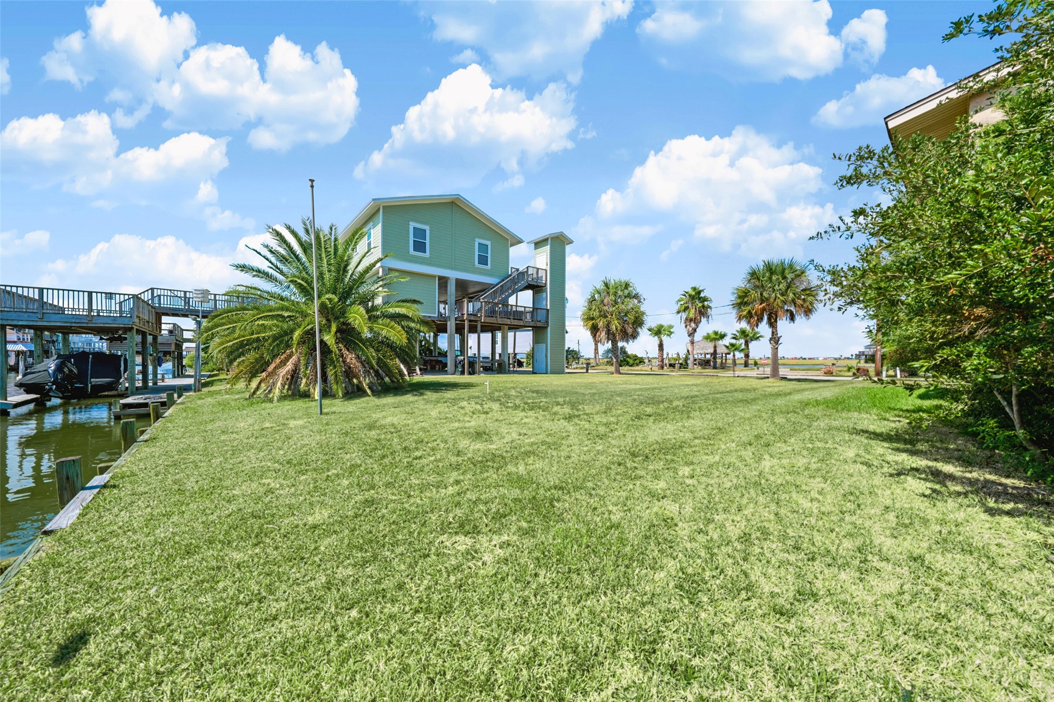 The lot from the front, with the Canary Island date palm at the back and a raised home next door. Room for a driveway and parking under a raised home of your own.