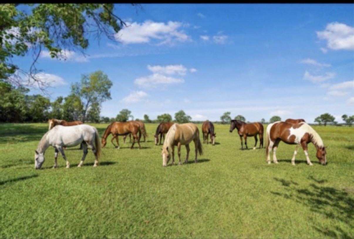 Perfect for all types of farm animals.