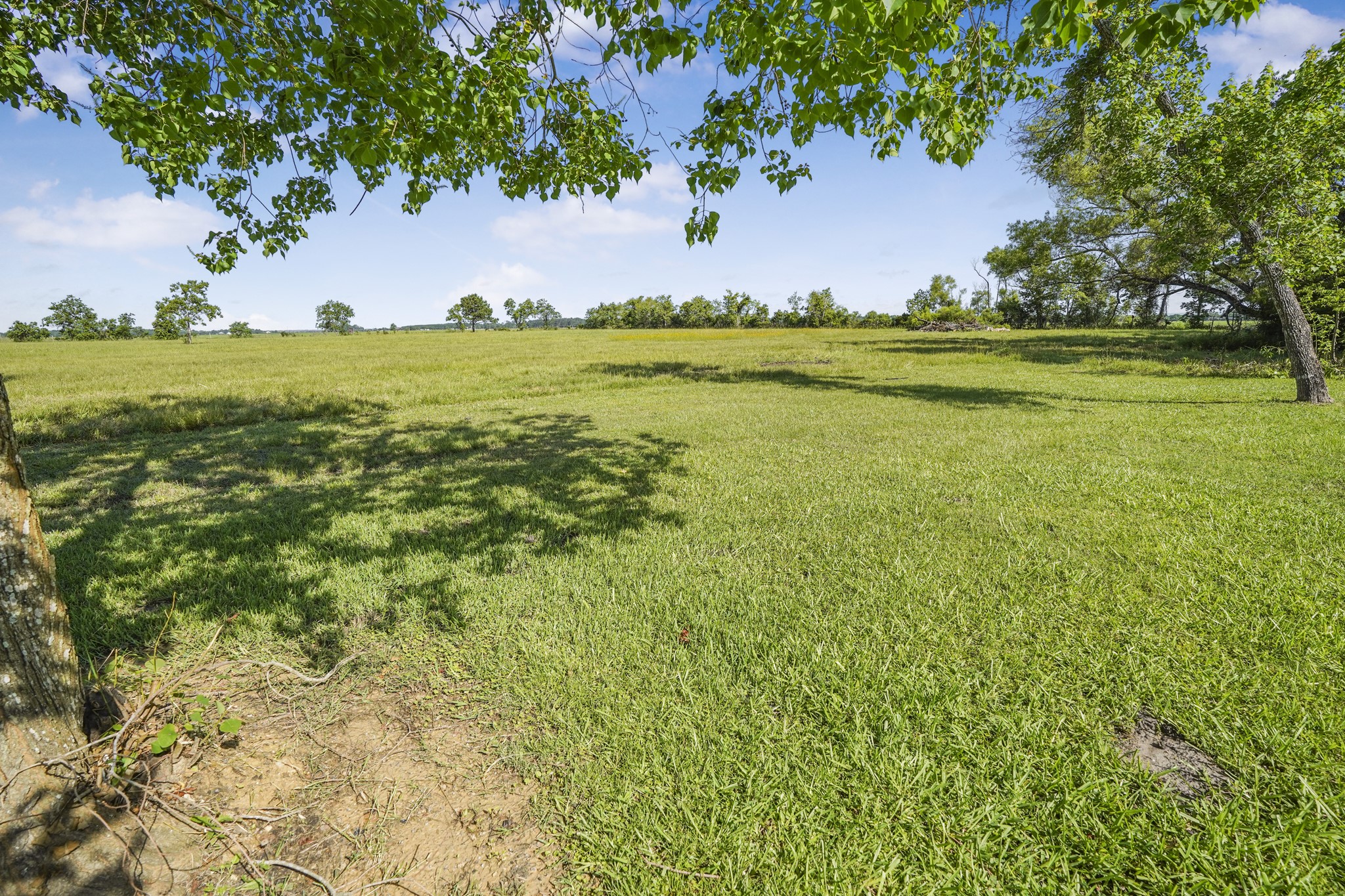 20547 Crosby Eastgate Road, Crosby, TX 77532