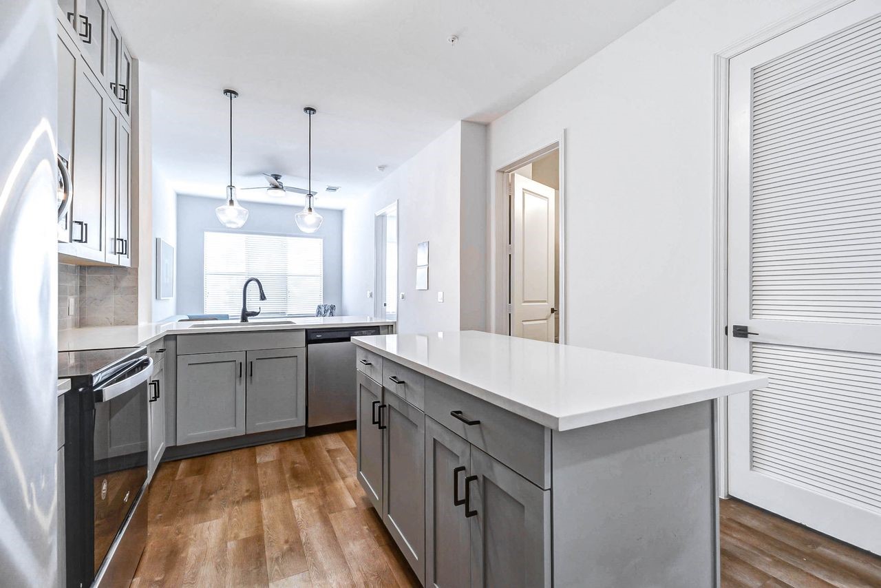 1508 Blodgett Street, #305, Houston, TX 77004