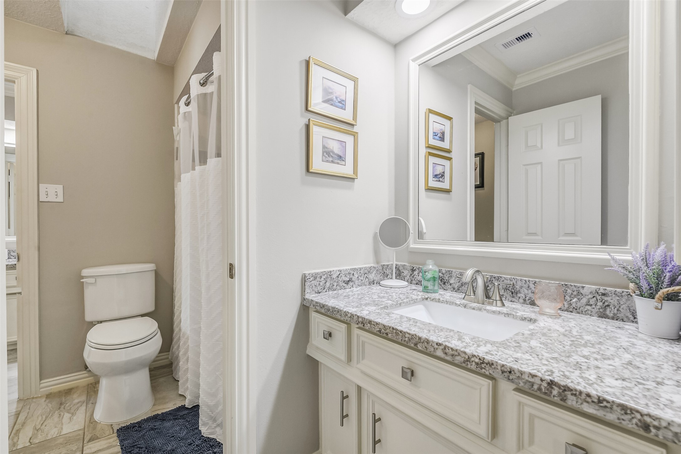 1802 Wild Plum Court, Houston, TX 77345