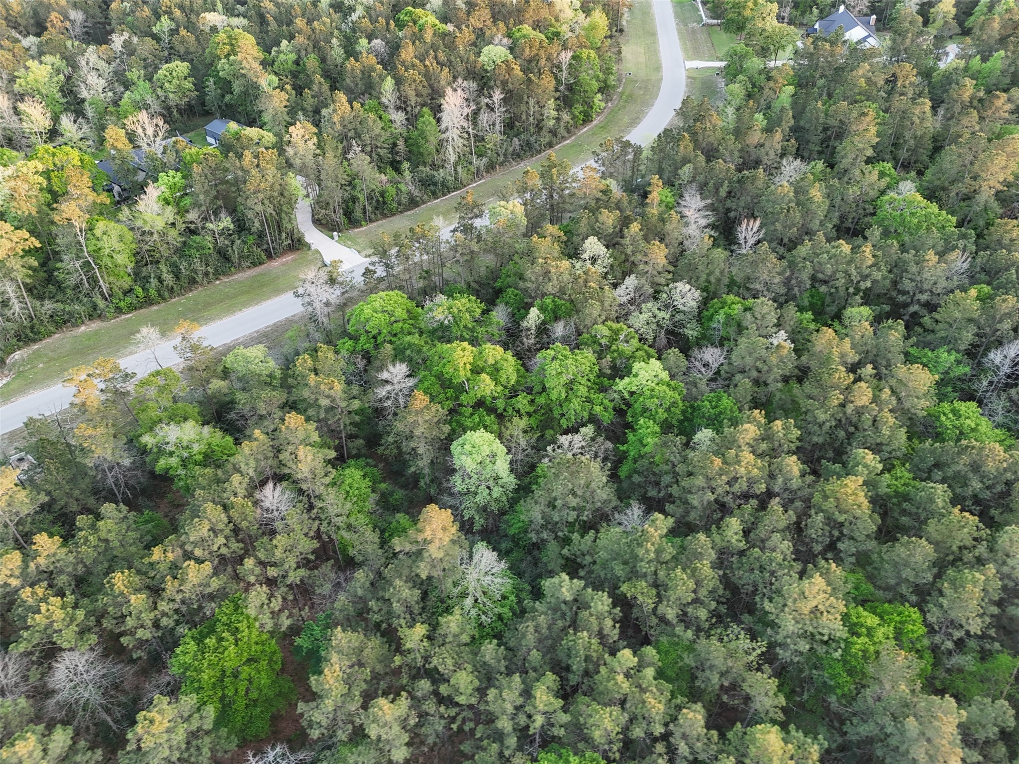 15537 Red Hawk Road, Willis, TX 77373