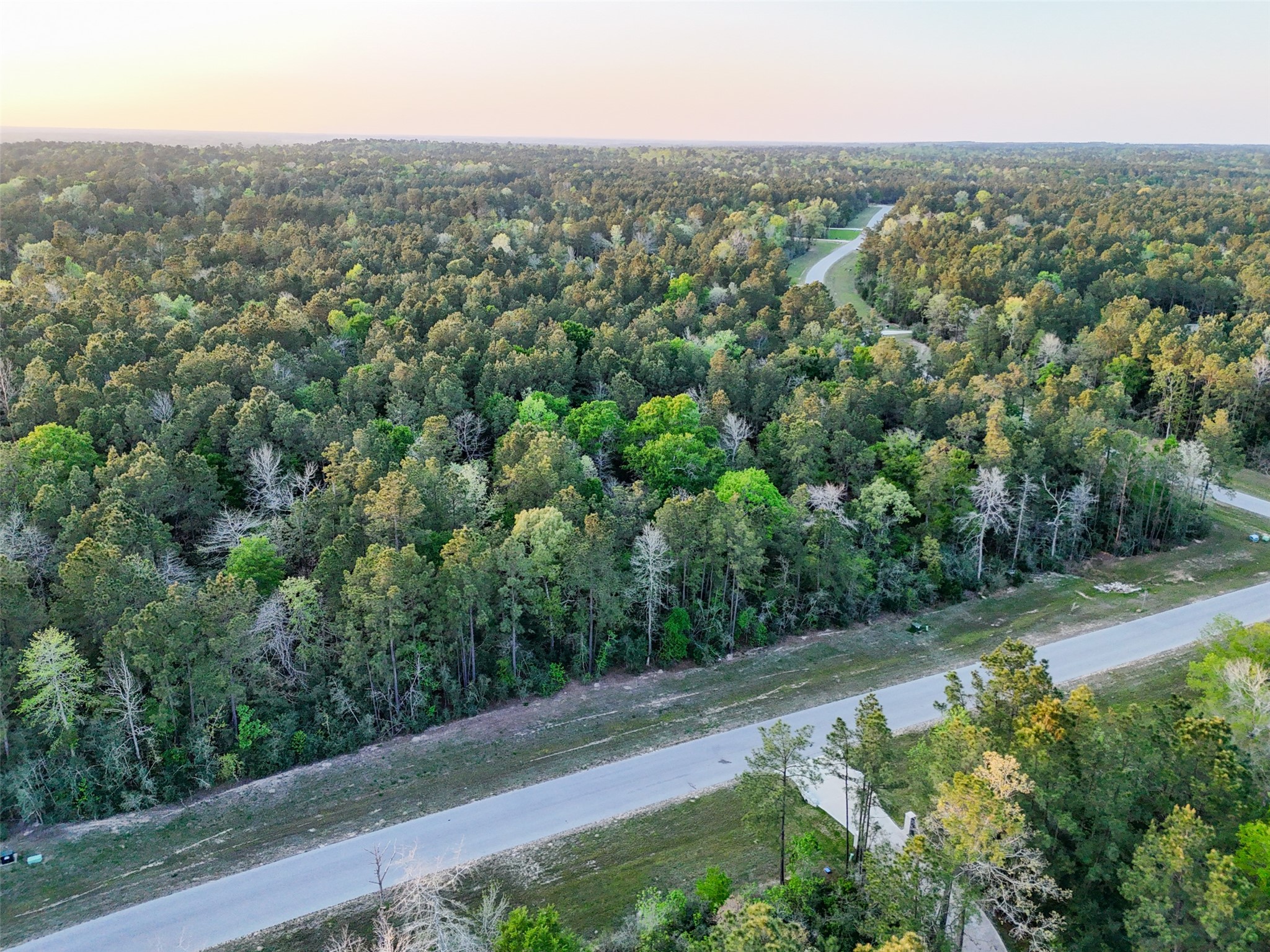 15537 Red Hawk Road, Willis, TX 77373