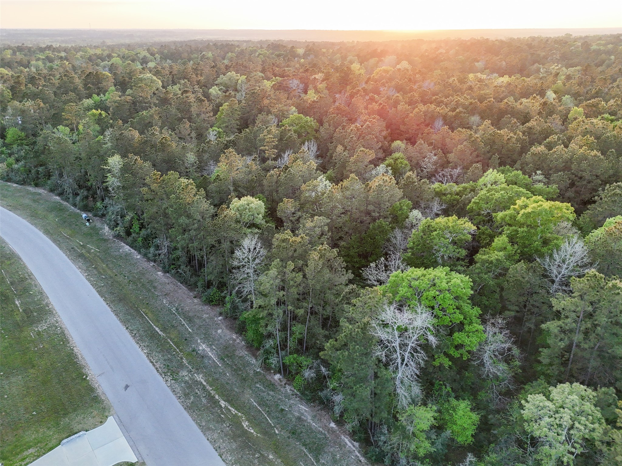 15537 Red Hawk Road, Willis, TX 77373