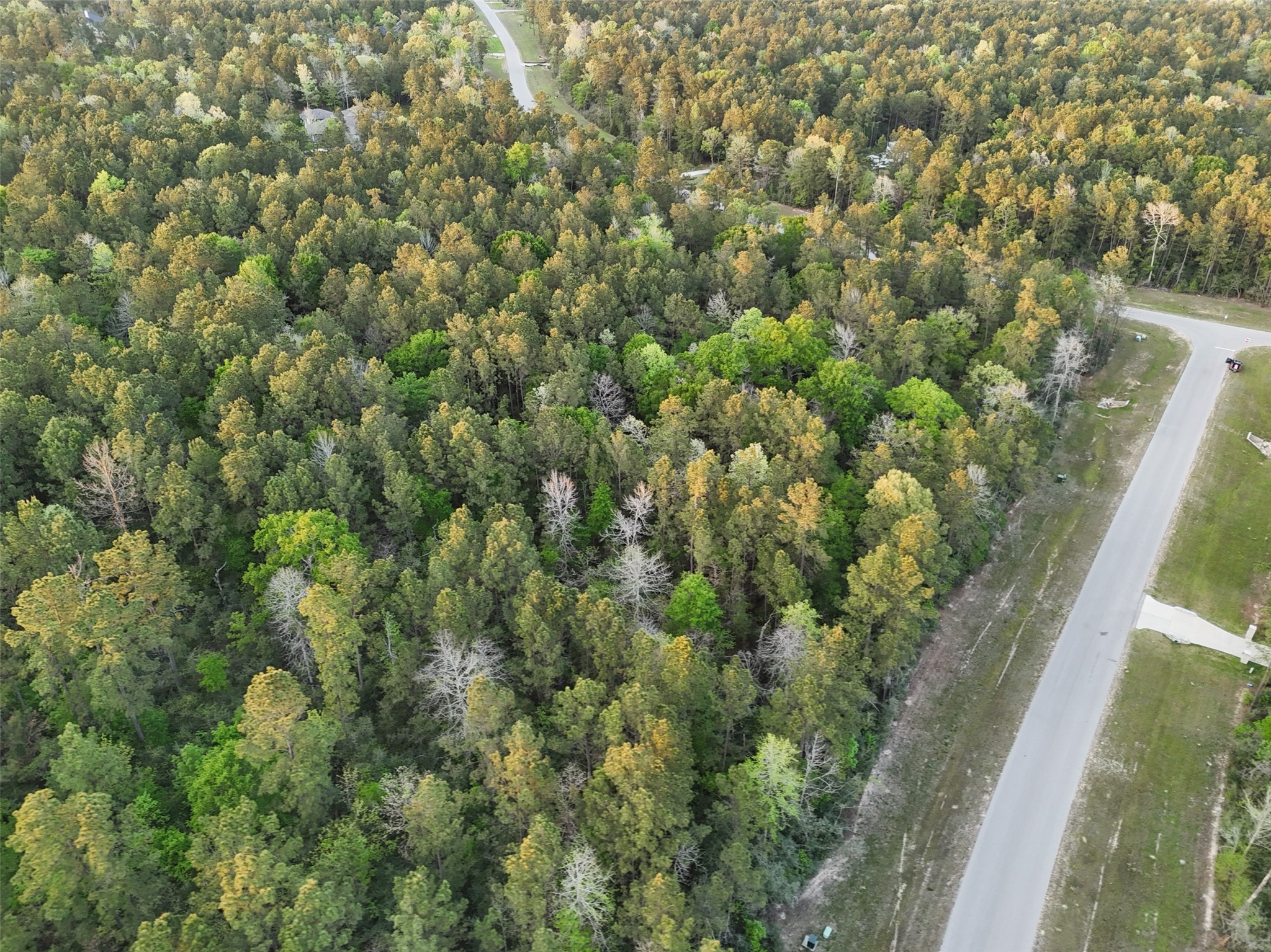 15537 Red Hawk Road, Willis, TX 77373