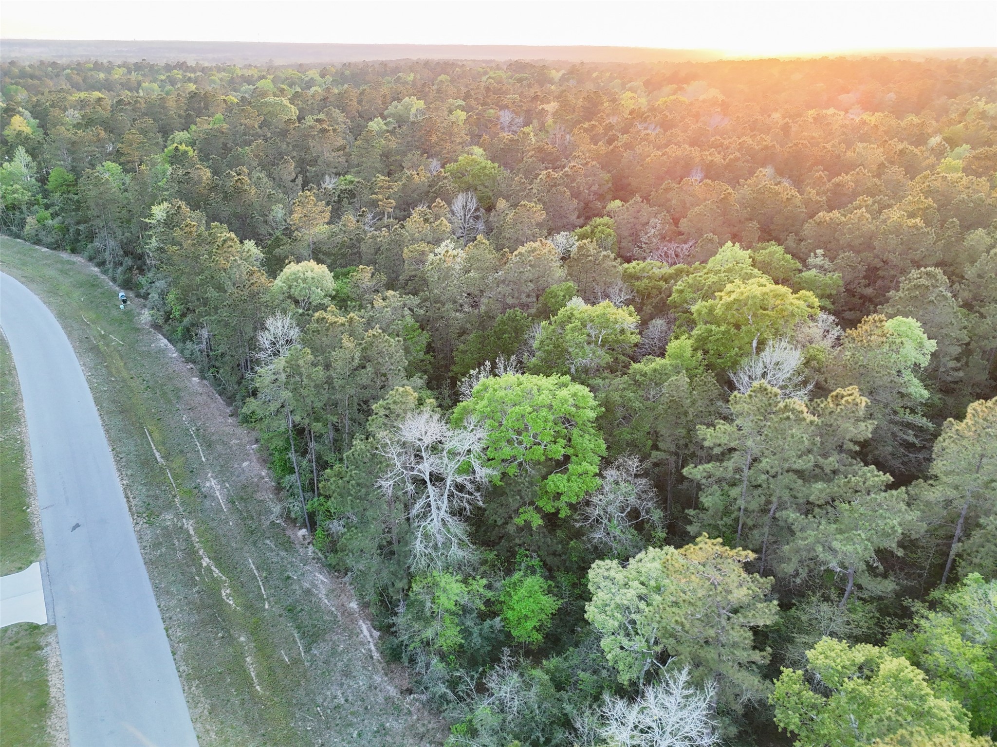 15537 Red Hawk Road, Willis, TX 77373