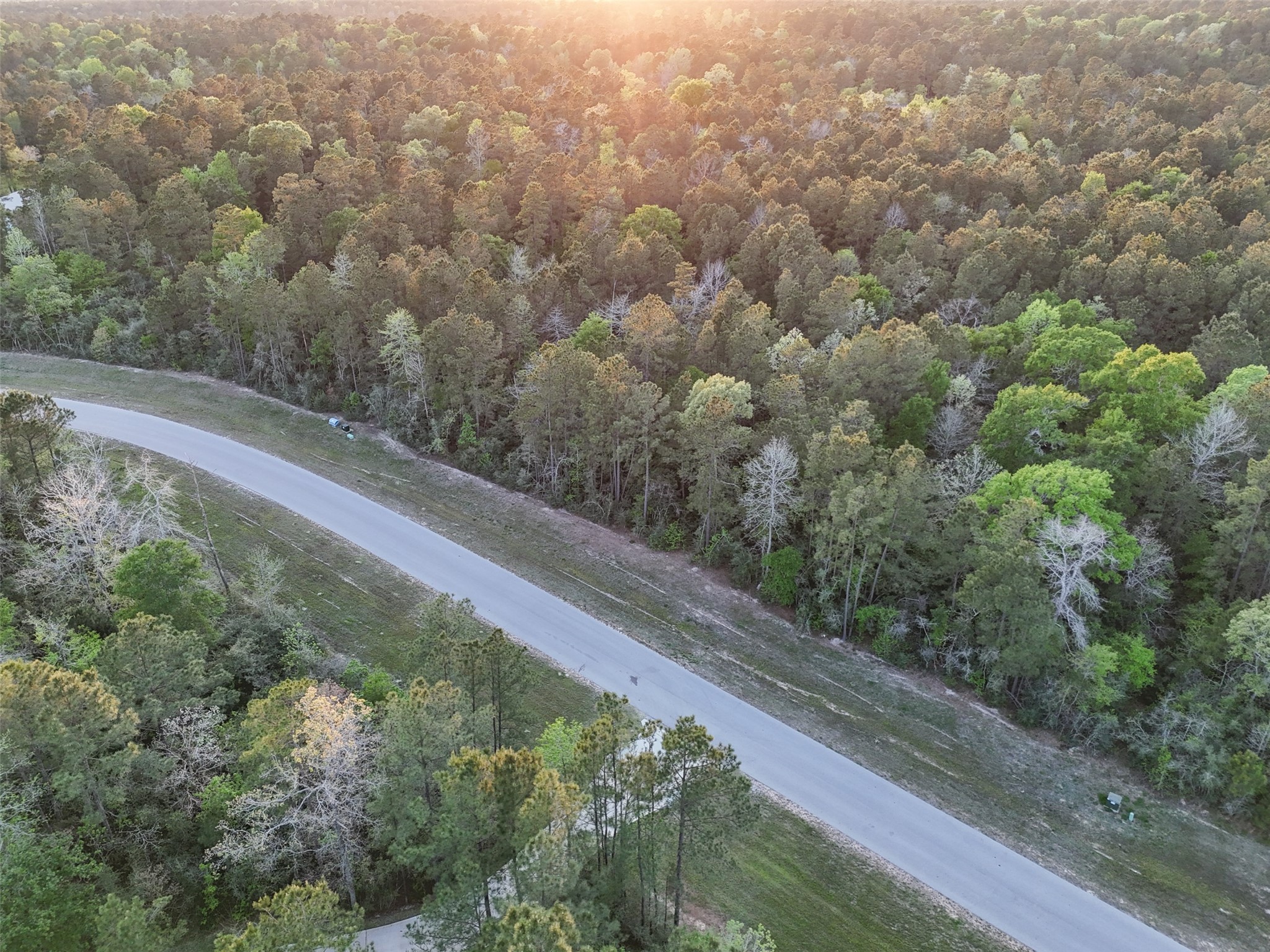 15537 Red Hawk Road, Willis, TX 77373