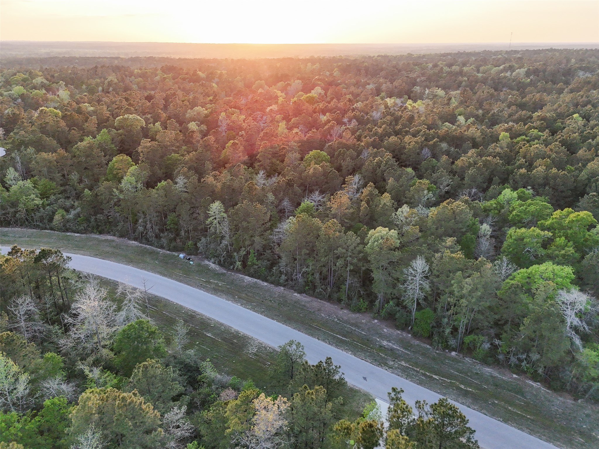 15537 Red Hawk Road, Willis, TX 77373