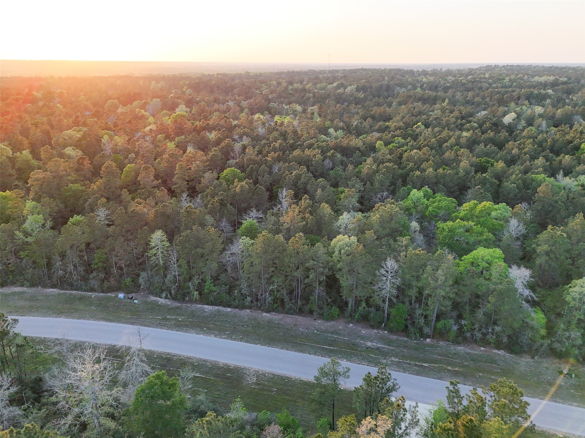 15537 Red Hawk Road, Willis, TX 77373