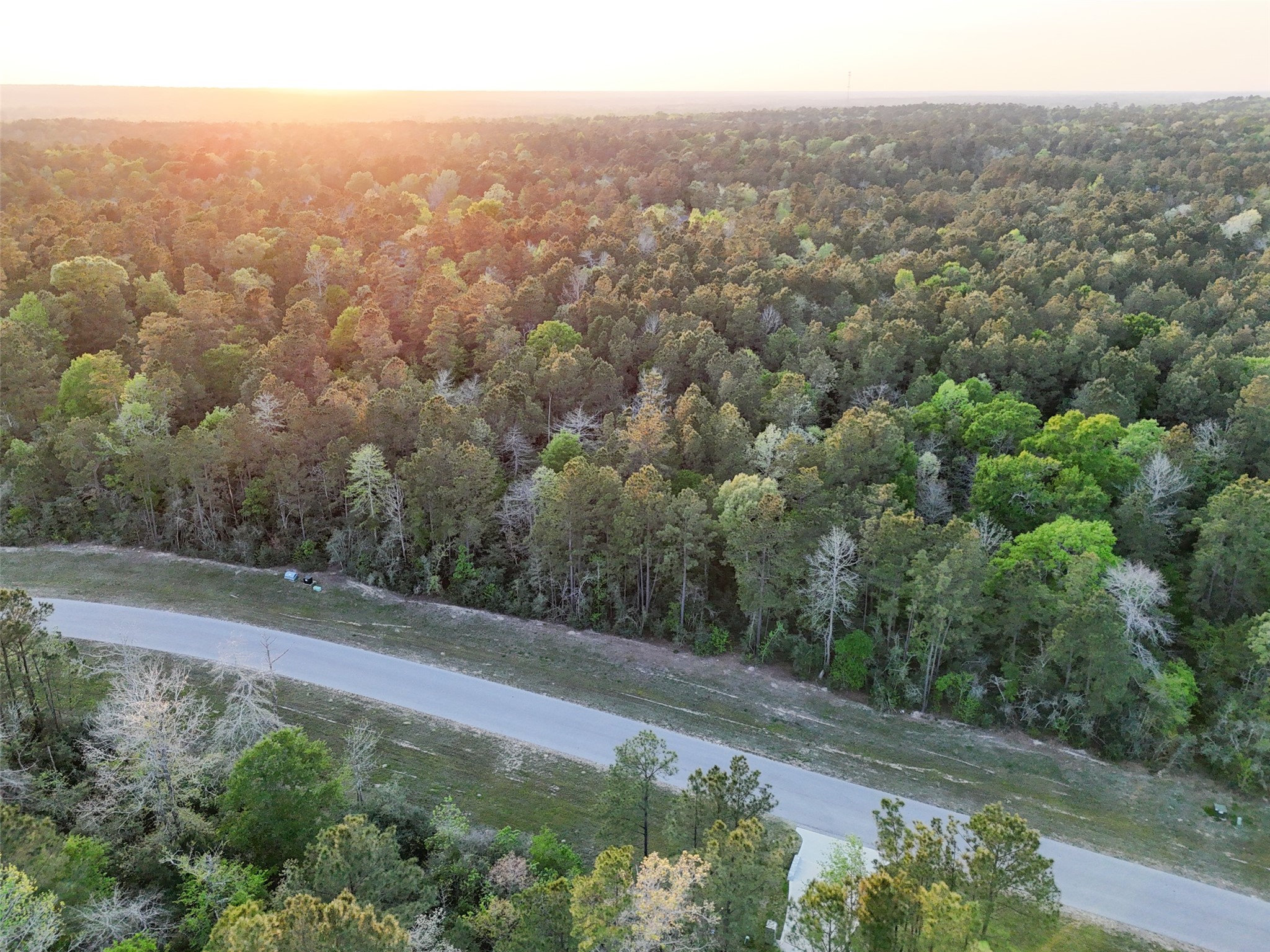 15537 Red Hawk Road, Willis, TX 77373