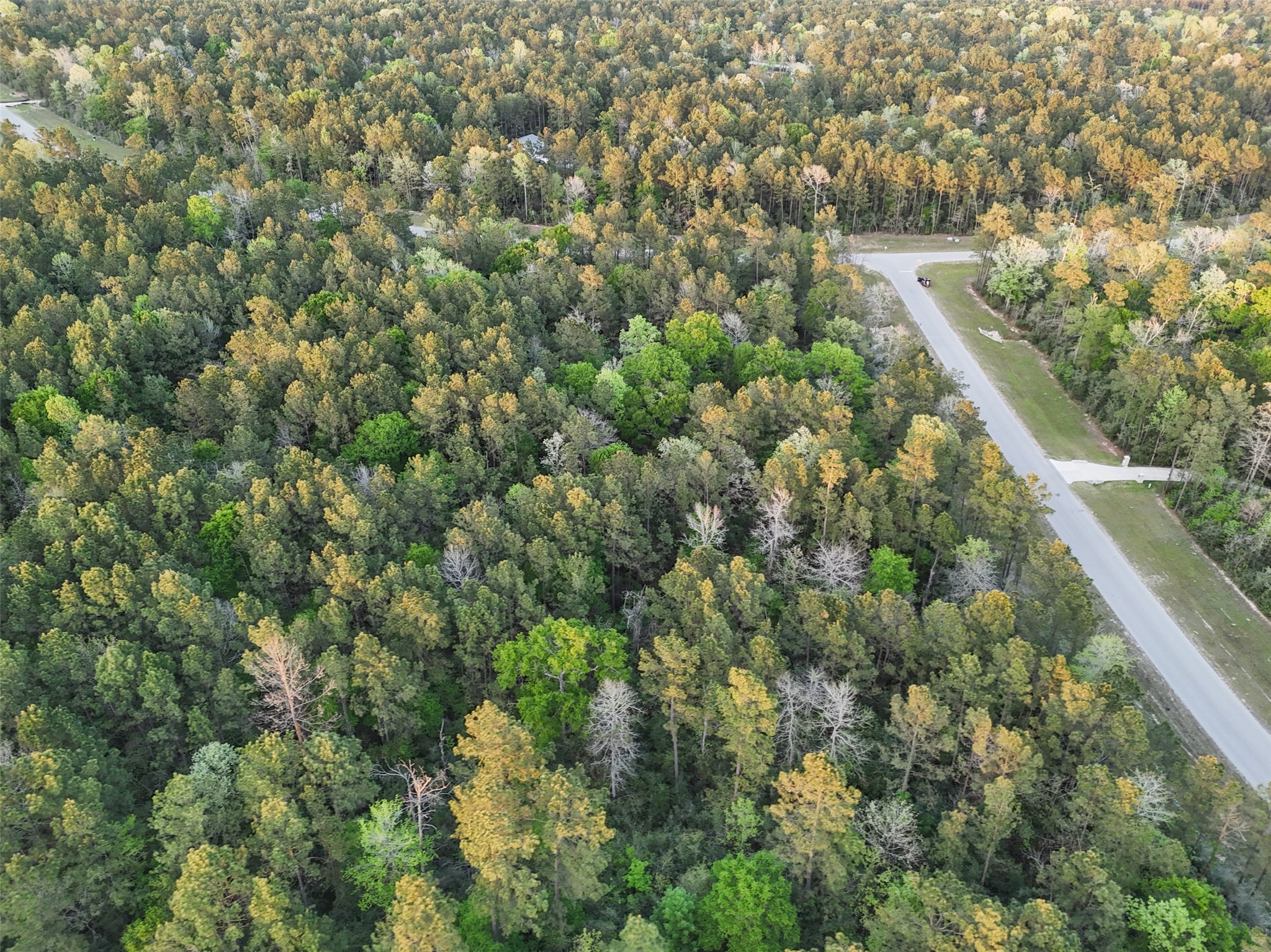 15537 Red Hawk Road, Willis, TX 77373