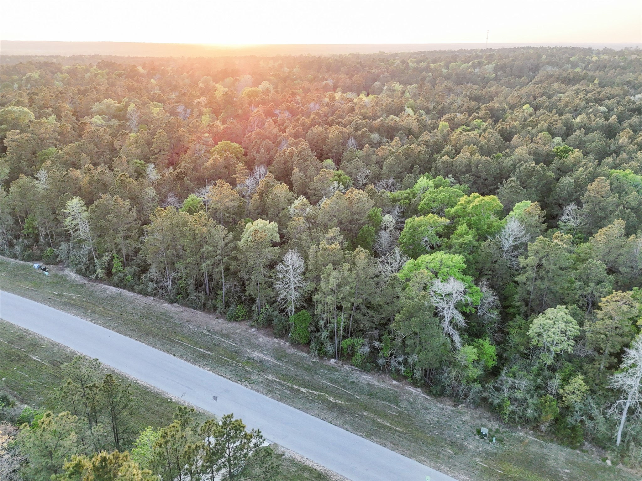 15537 Red Hawk Road, Willis, TX 77373