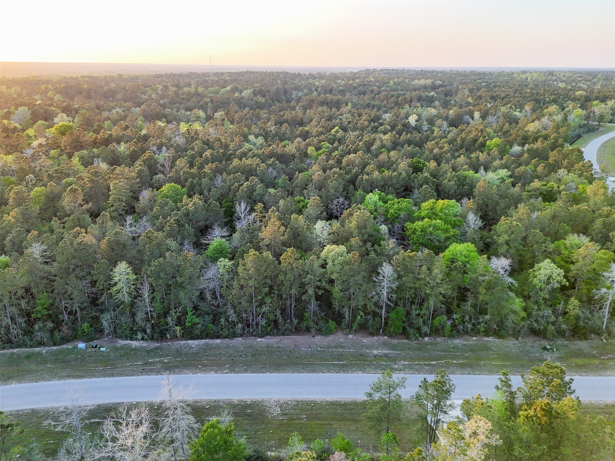 15537 Red Hawk Road, Willis, TX 77373