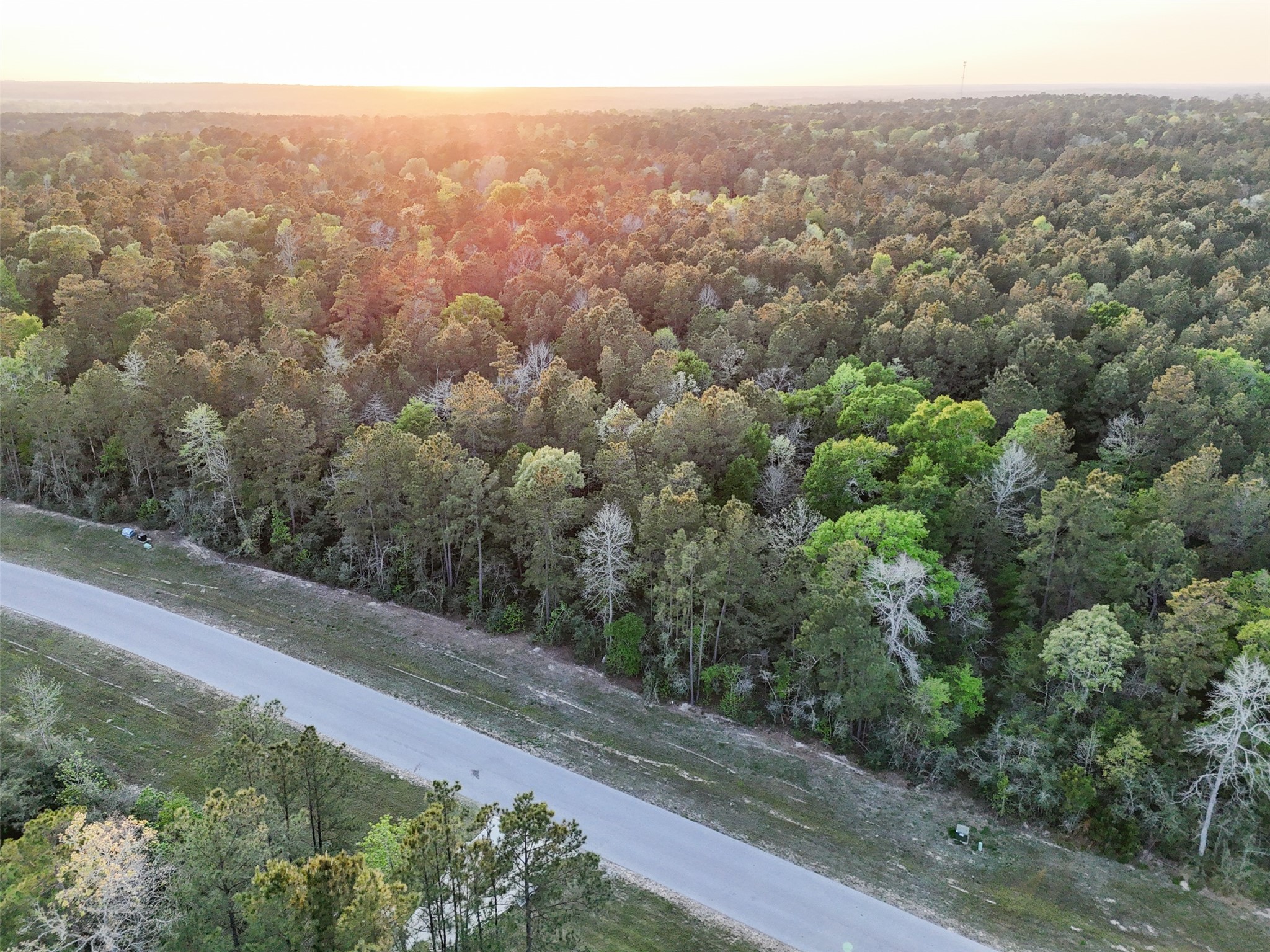 15537 Red Hawk Road, Willis, TX 77373