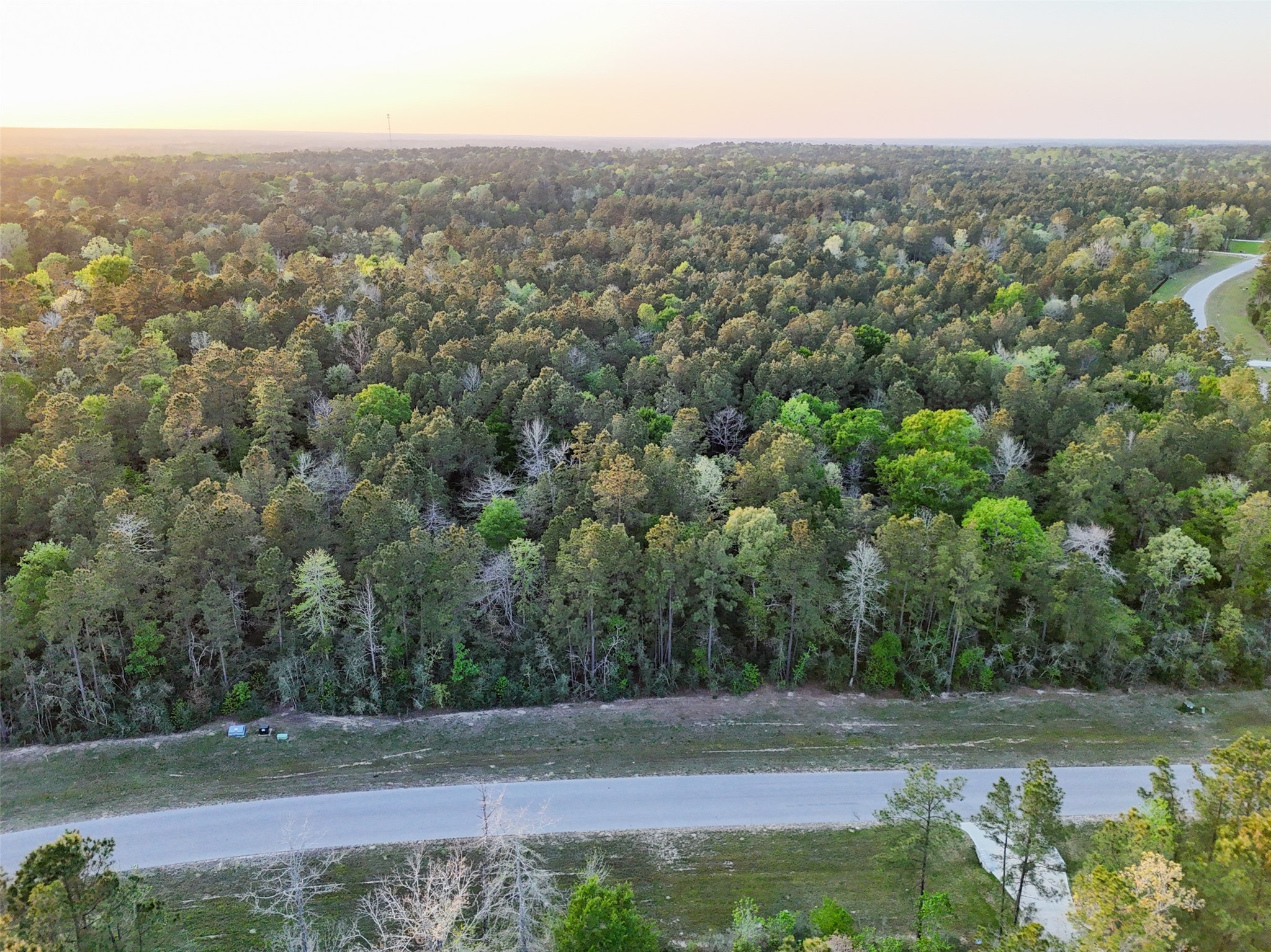 15537 Red Hawk Road, Willis, TX 77373