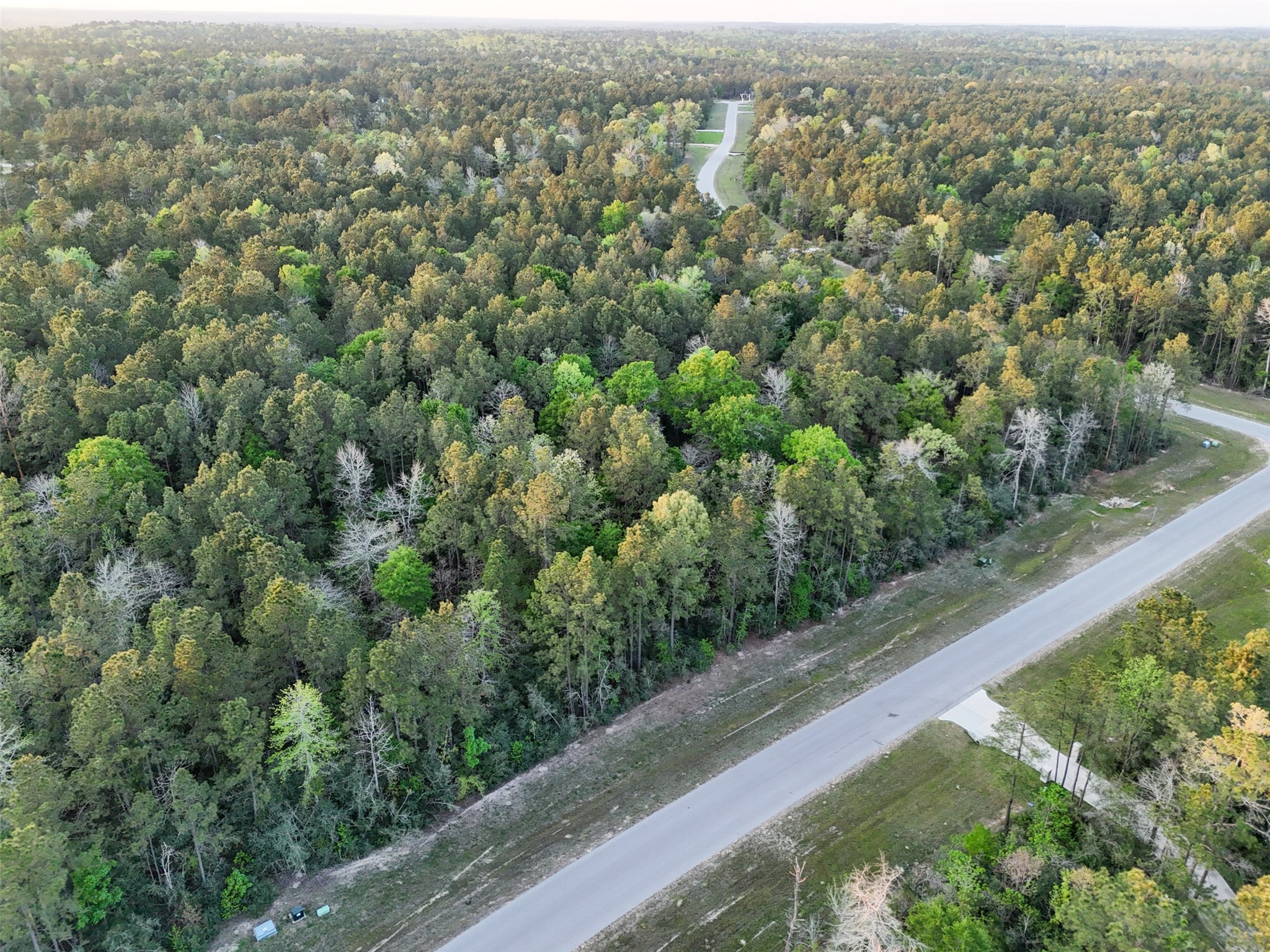 15537 Red Hawk Road, Willis, TX 77373