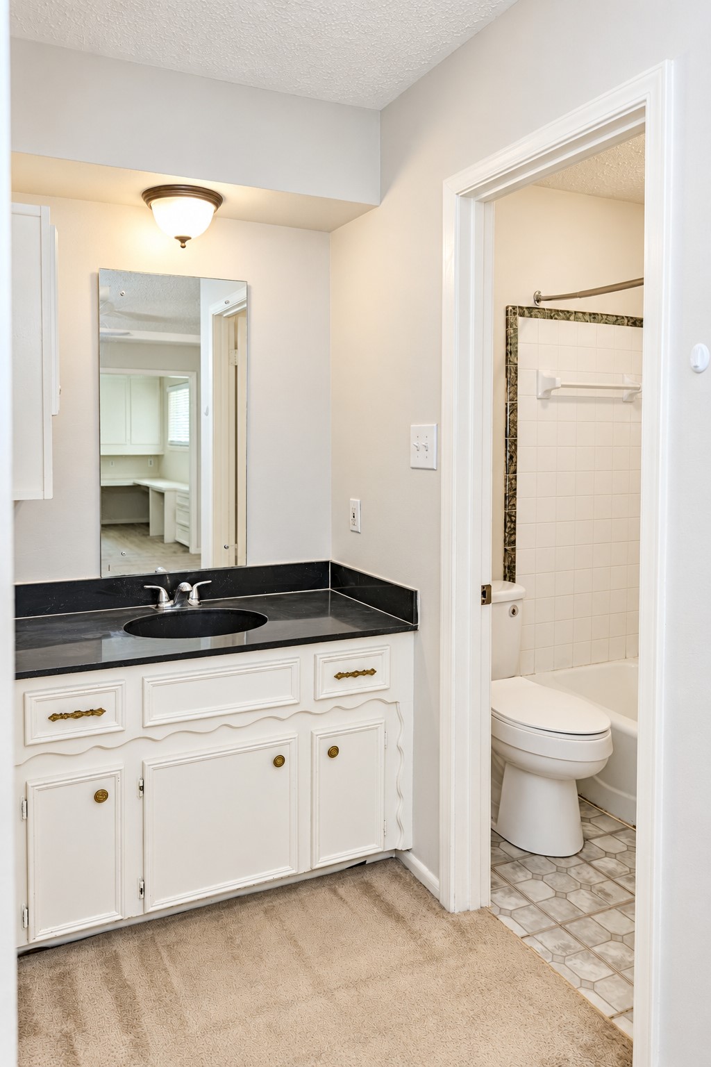 3414 Lake Ridge Bend, Spring, TX 77380