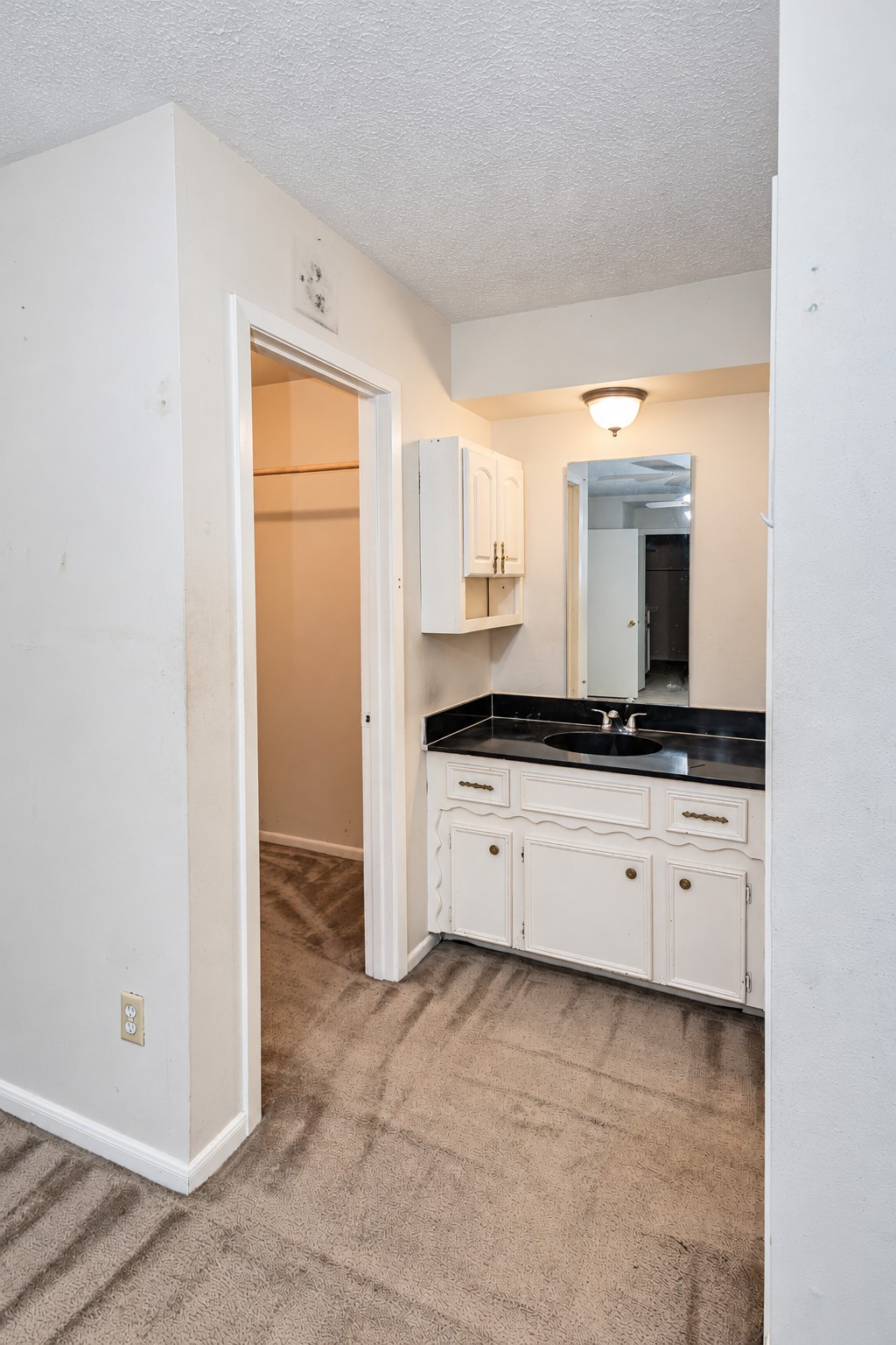 3414 Lake Ridge Bend, Spring, TX 77380