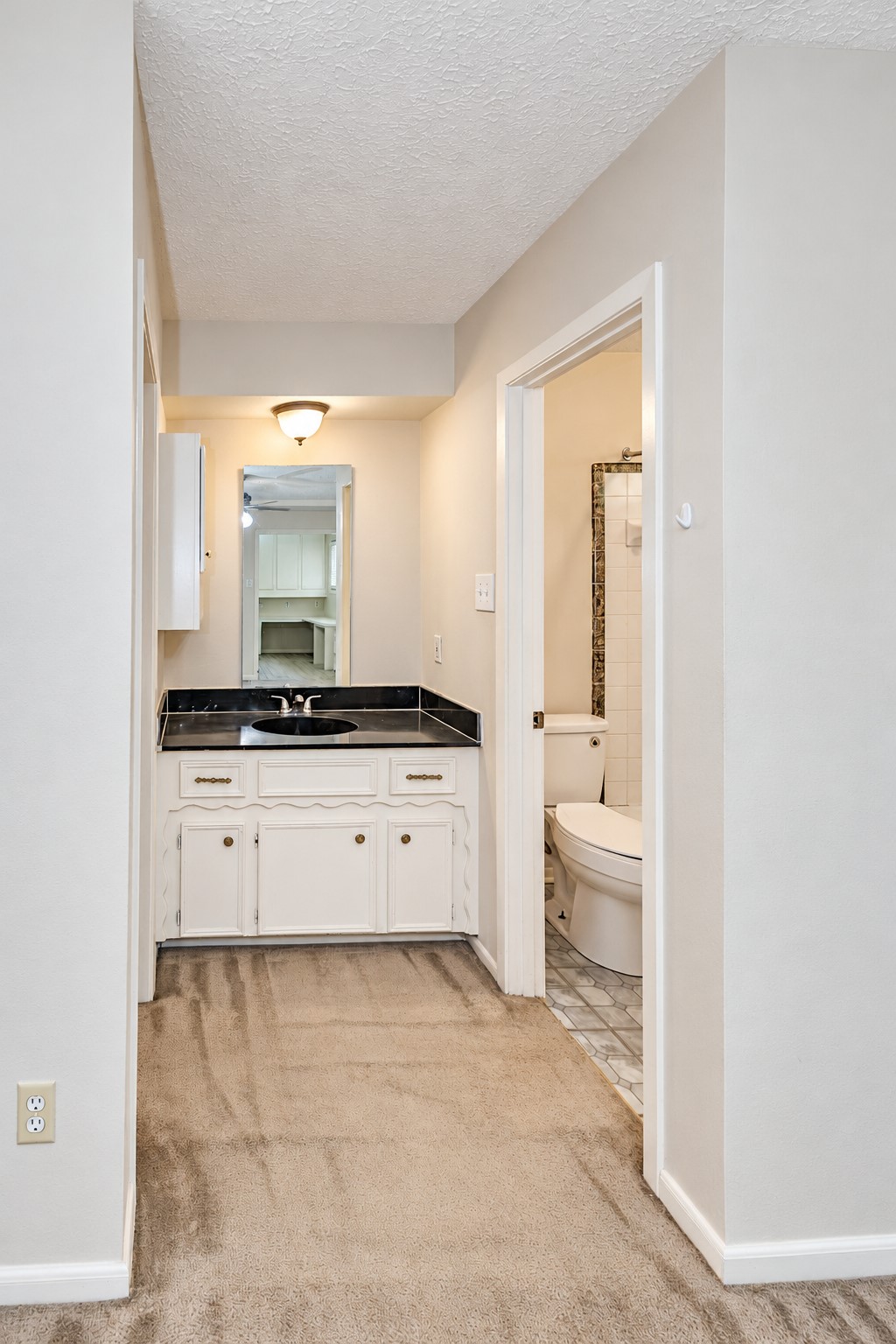 3414 Lake Ridge Bend, Spring, TX 77380