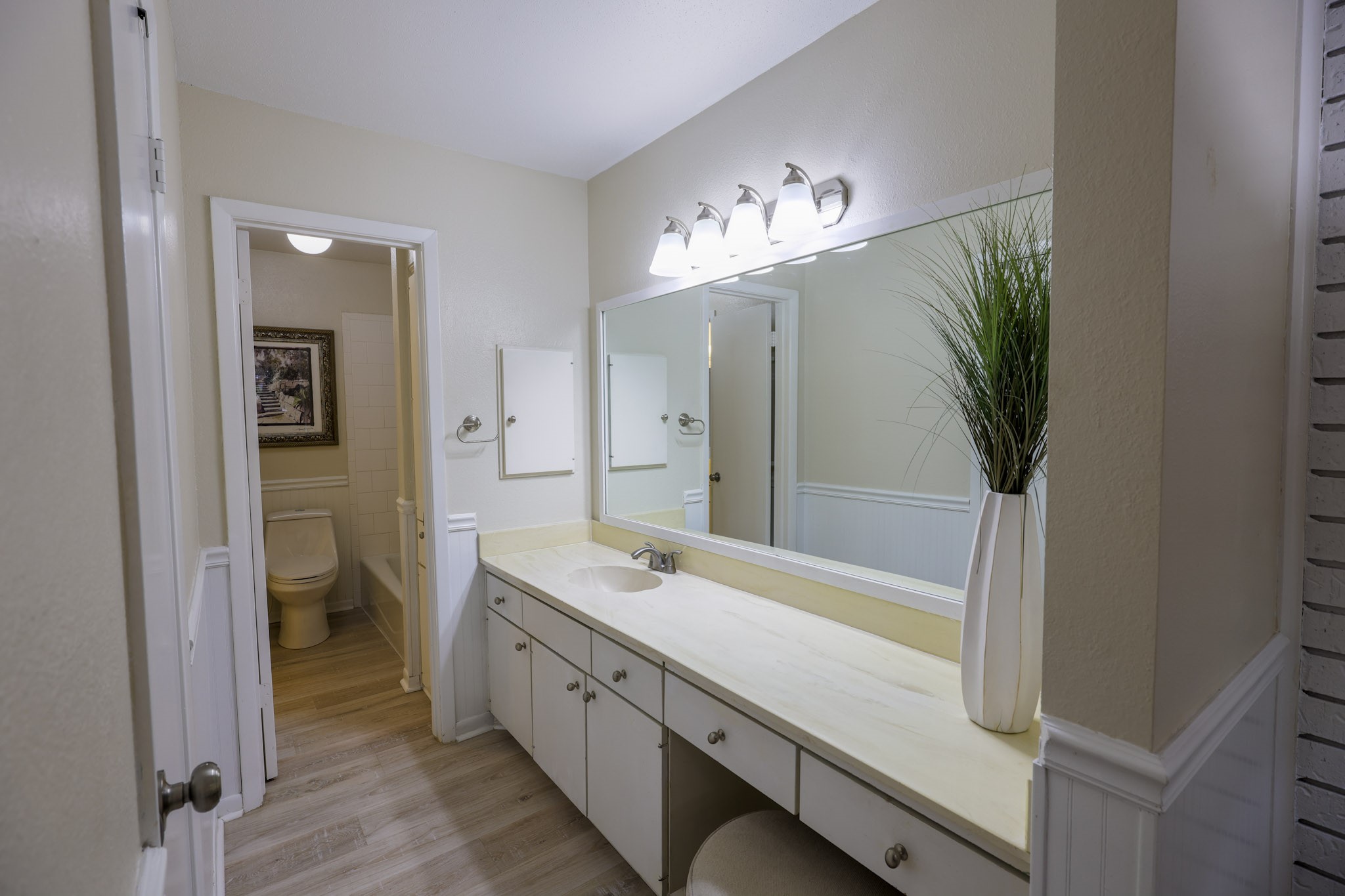 primary sink and vanity area