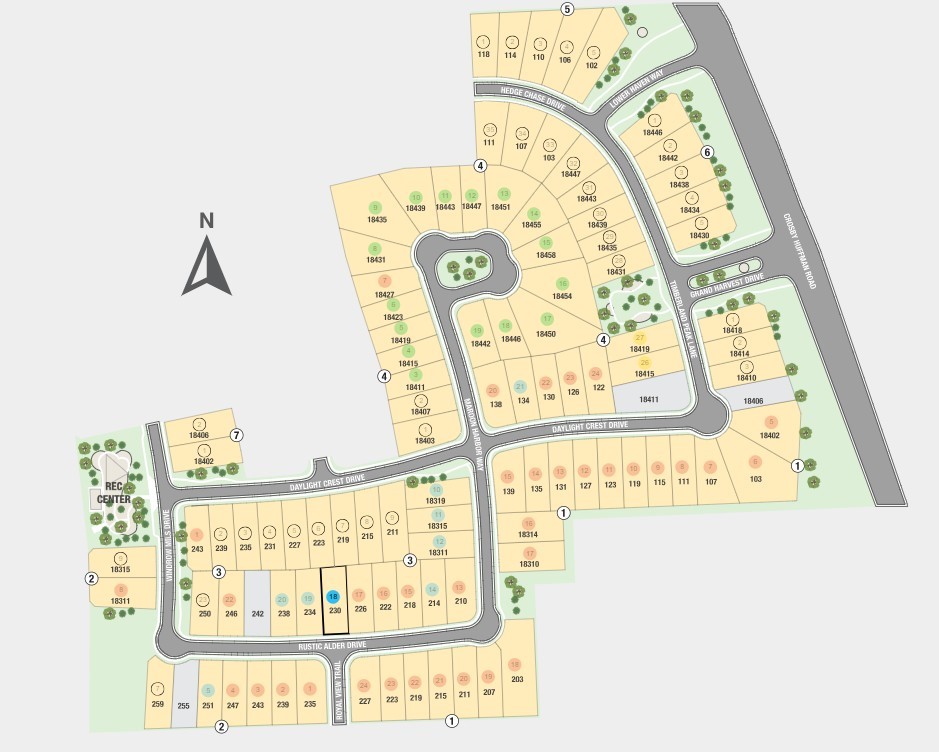 230 Rustic Alder Drive Sitemap
