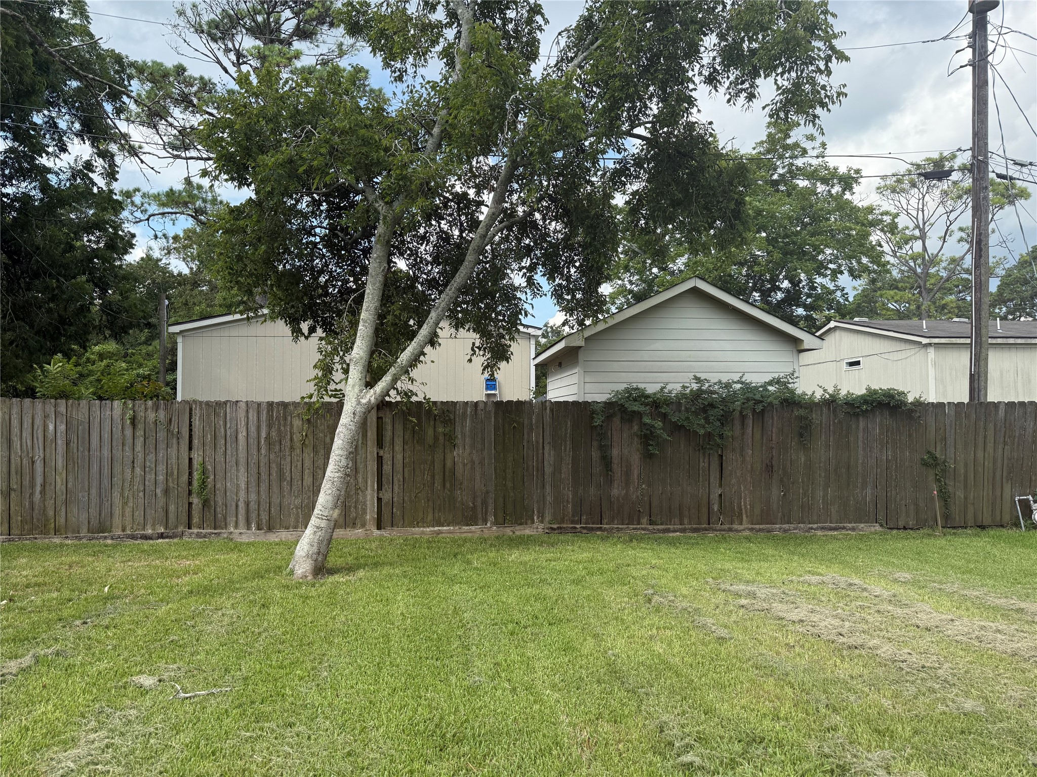 View of back of the land with back fence.