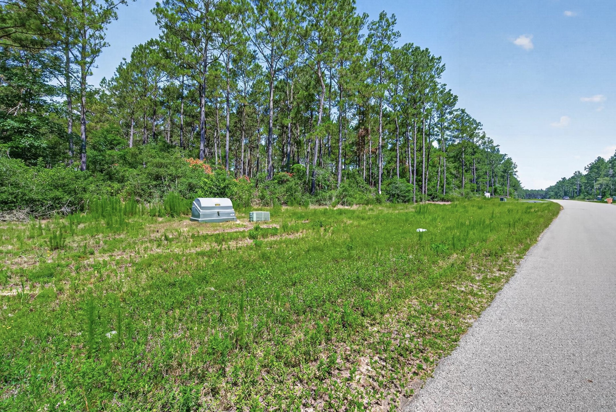 10721 Ruger Road, Willis, TX 77378 10721 Ruger Road, Willis, TX 77378