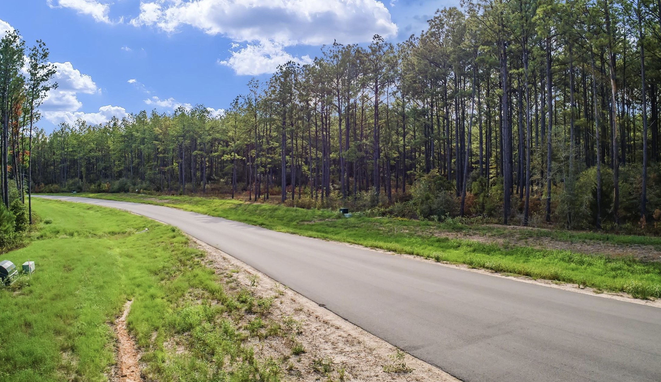10721 Ruger Road, Willis, TX 77378