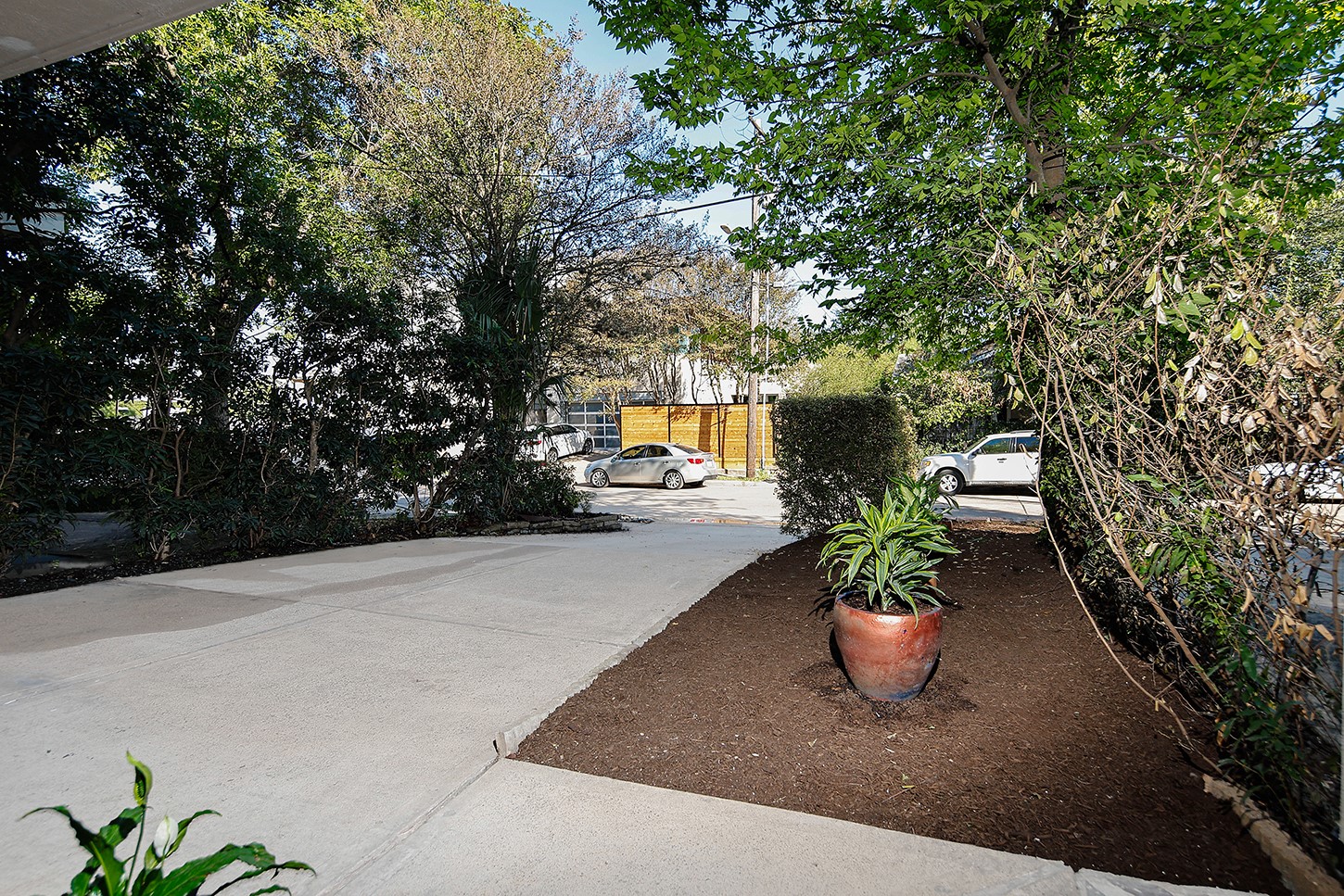Mature Trees and Landscaping