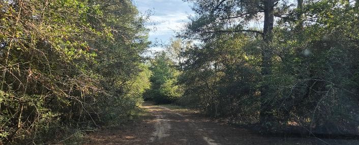 Road in front of lot