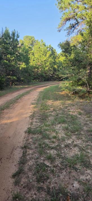 Road in front of lot