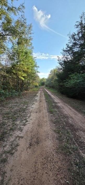 Road in front of lot