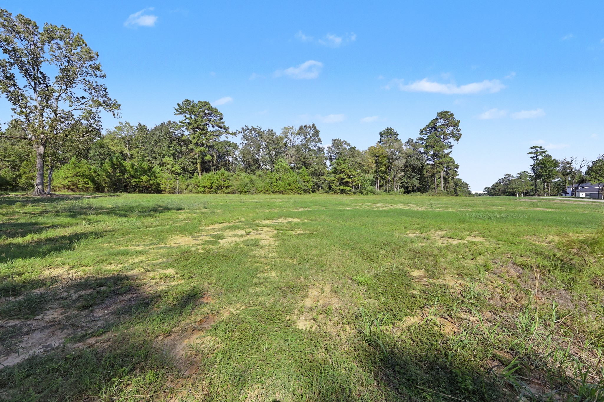 Lot 13 Spring Branch Rd, Montgomery, TX 77316