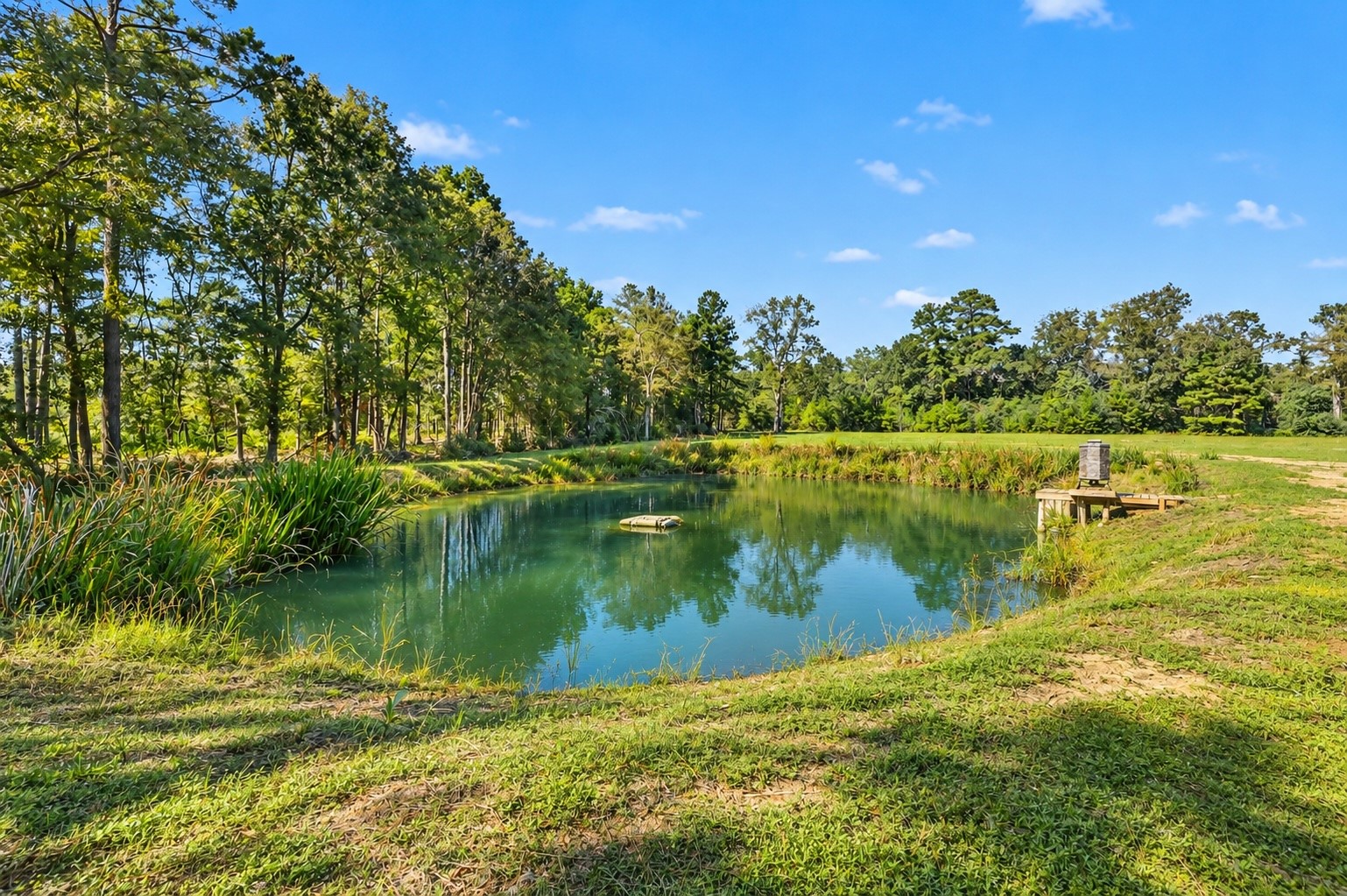 Edited photo to show pond at it's fullest and additional grass grown. The pond has looked this good when maintained after rain.