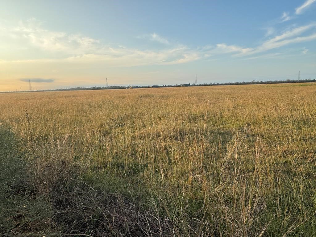 40 ACRES COUNTY ROAD 45, Angleton, TX 77515 40 ACRES COUNTY ROAD 45, Angleton, TX 77515