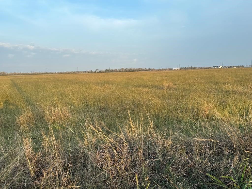 40 ACRES COUNTY ROAD 45, Angleton, TX 77515