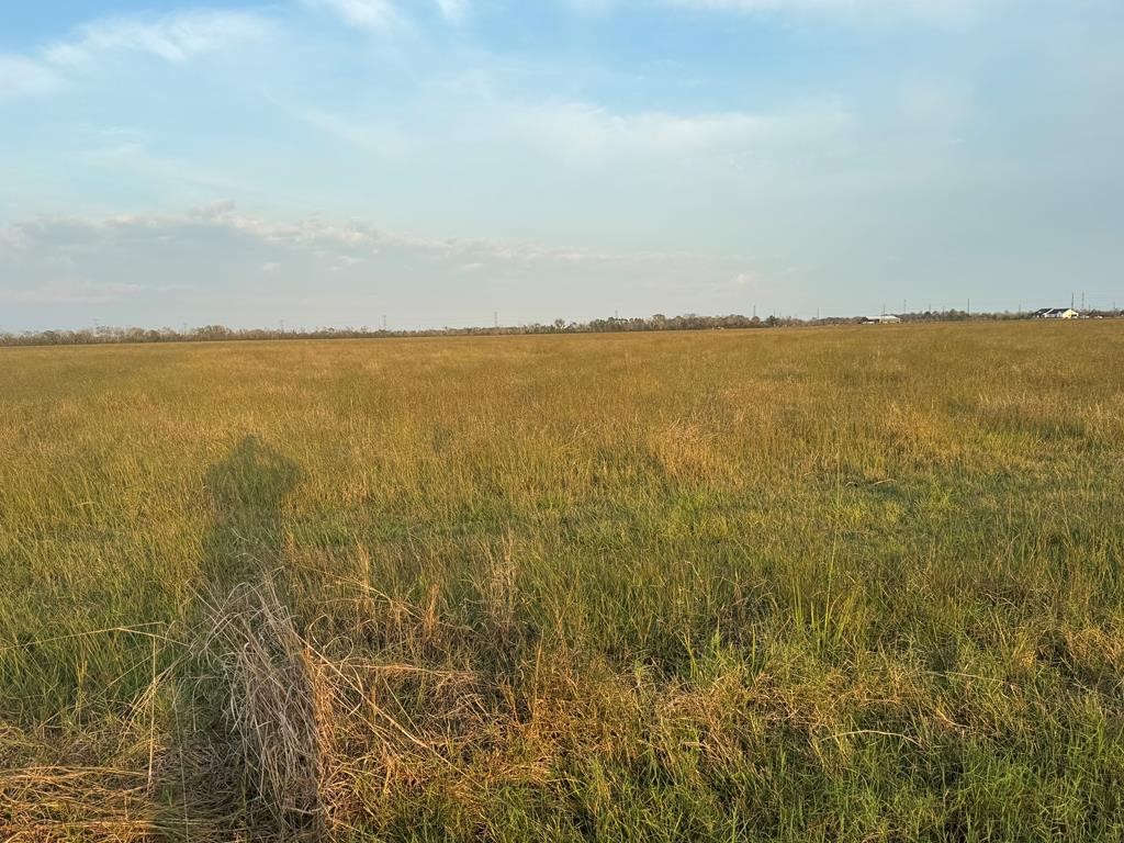 40 ACRES COUNTY ROAD 45, Angleton, TX 77515 40 ACRES COUNTY ROAD 45, Angleton, TX 77515