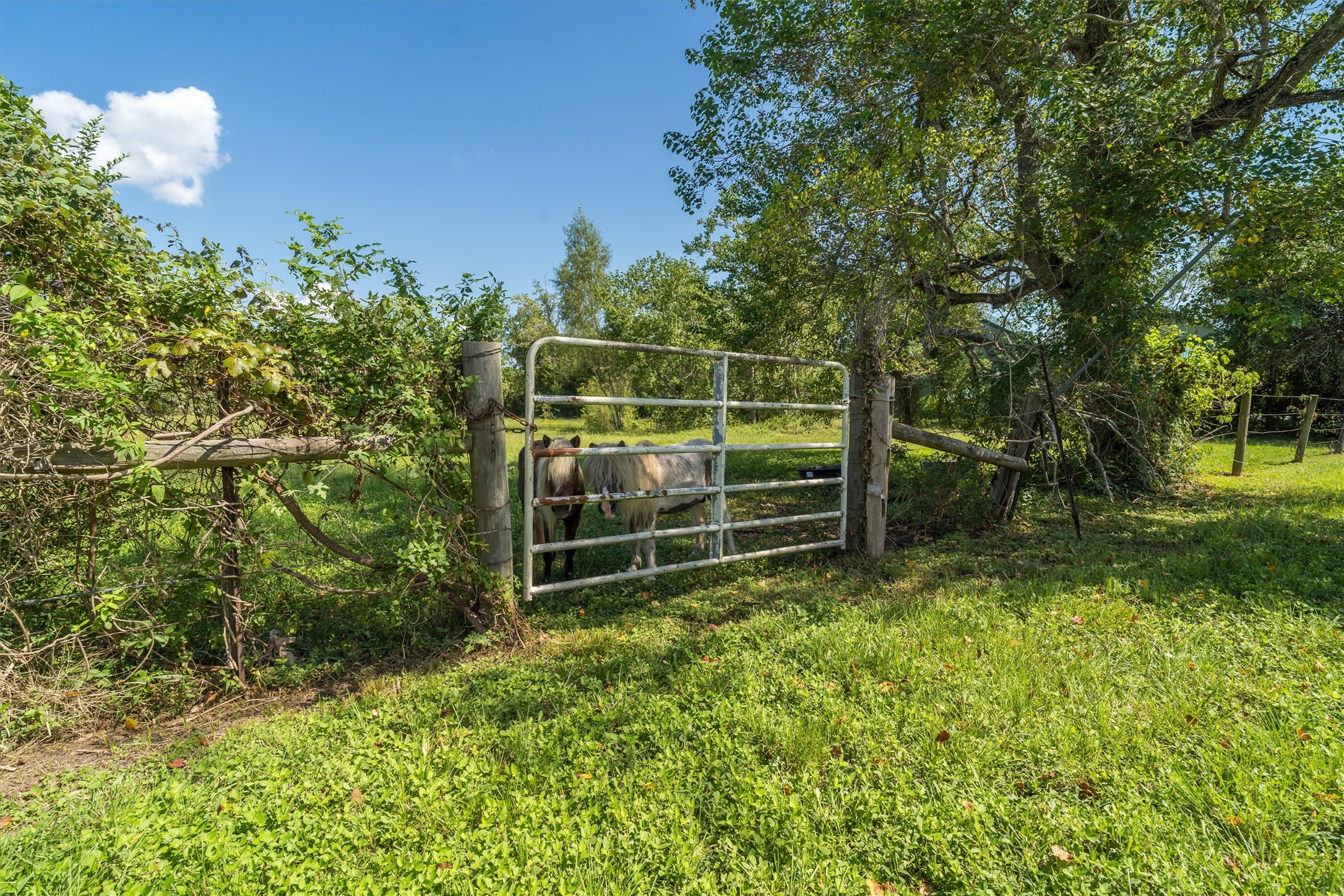 2150 Hewitt Street, League City, TX 77573